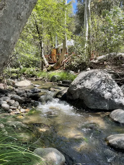 A flowing creek with large rocks and surrounding green trees, with a house partially visible in the background in a forested area.