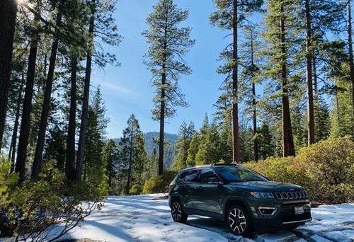 Snow-covered mountain road in Sequoia National Park near Baxter Ranch, surrounded by towering pine trees and winter scenery in the Sierra Nevada mountains.