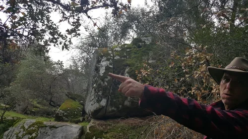 A closer look at the natural wonders surrounding Baxter Ranch, where forest trails, moss-covered rocks, and mountain landscapes invite guests to explore the Sierra Nevada foothills.