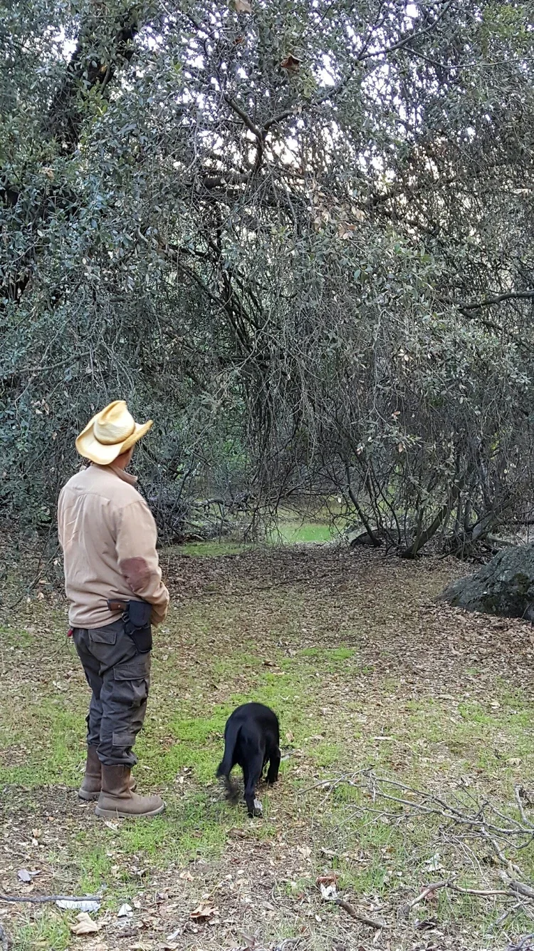 A quiet moment at Baxter Ranch, where people, animals, and the land come together in the peaceful forest surroundings of this mountain retreat.