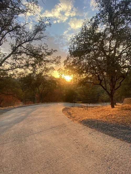 Driveway leading to Hilltop House at Baxter Ranch, winding through a wooded landscape with peaceful sunset views and the natural beauty of the surrounding mountains.