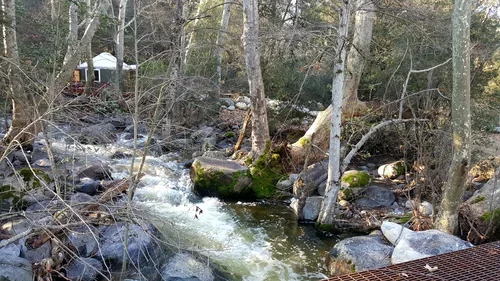A peaceful creek at Baxter Ranch flowing through a wooded landscape with natural rocks, fallen trees, and a quiet forest setting.