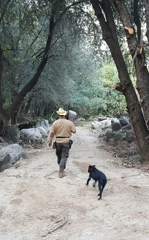 A Baxter Ranch team member walking a black dog along a forest trail surrounded by native trees and granite rocks, showcasing the natural beauty of the mountain property.
