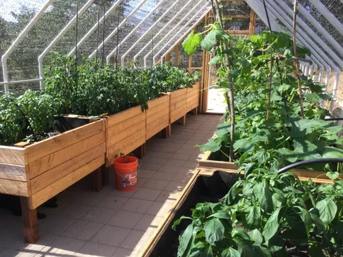 Greenhouse at Baxter Ranch featuring wooden planter boxes filled with thriving plants, showcasing the ranch’s connection to gardening, sustainability, and seasonal growing.