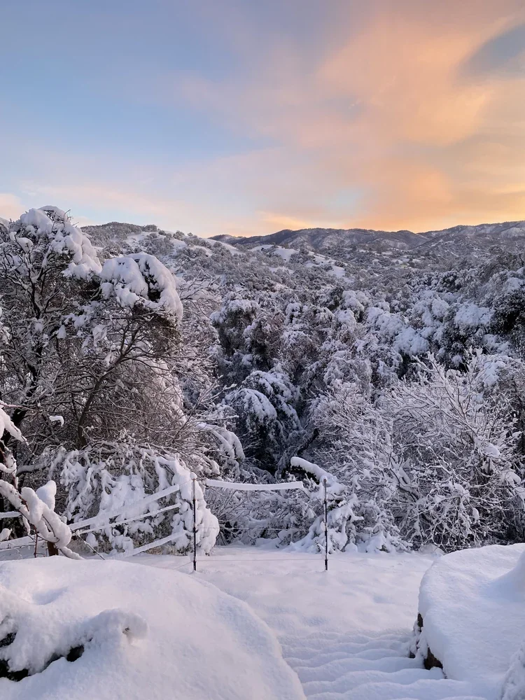 Winter at Baxter Ranch, where snow-covered forests, mountain views, and peaceful pathways create a serene seasonal retreat surrounded by the beauty of the Sierra Nevada.