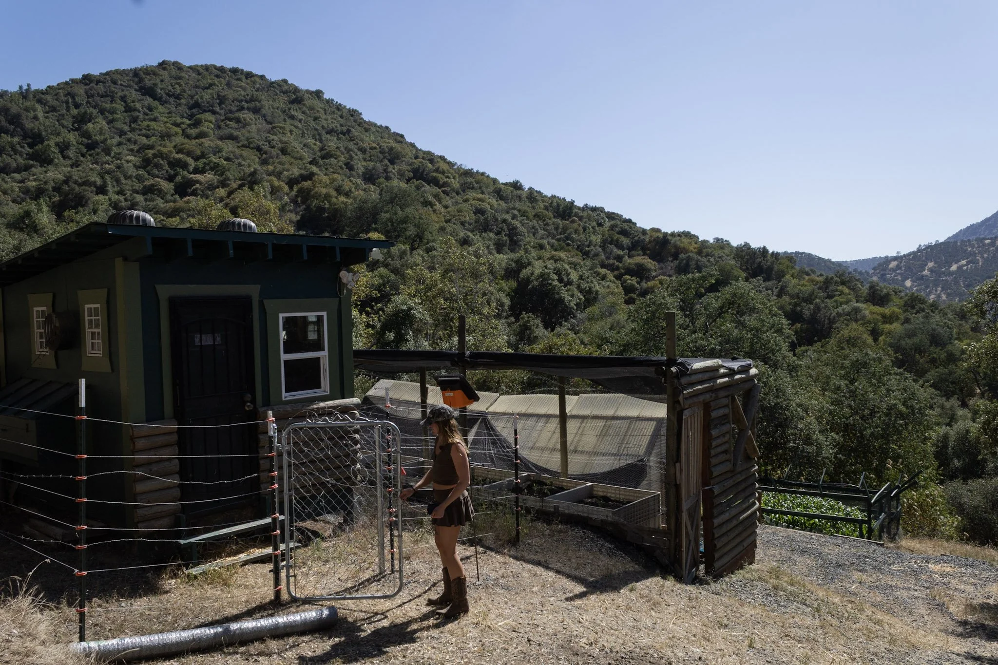 Outdoor farm area at Baxter Ranch near the greenhouse and chicken coop, featuring fenced spaces, mountain views, and a peaceful countryside setting surrounded by forested hills.