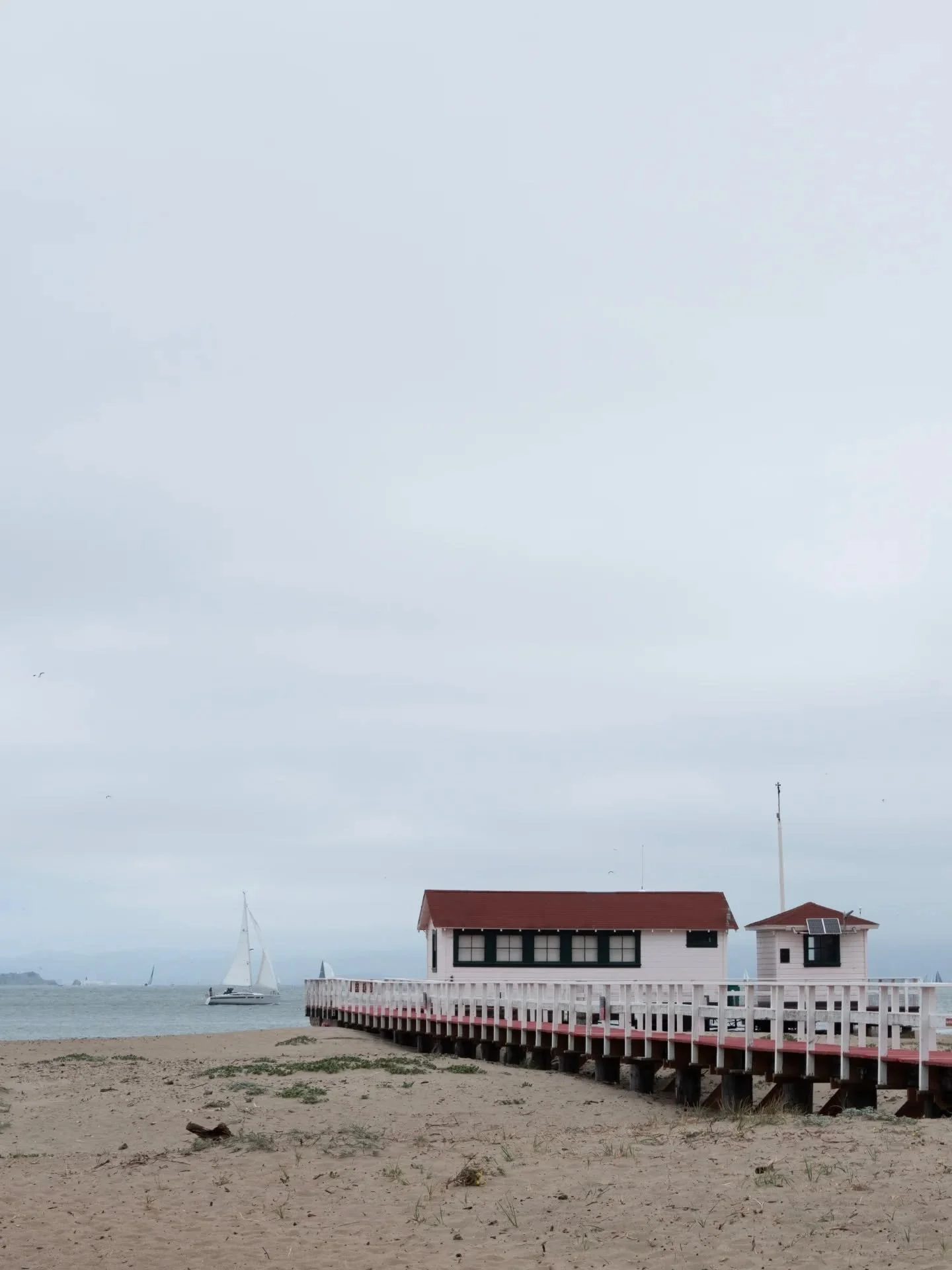 . . . [W]hile in the reachless seascape spaces / between the blown white shrouds / stand out the bright steamers / to kingdom come.

(Scenes from a San Franciscan weekend.)