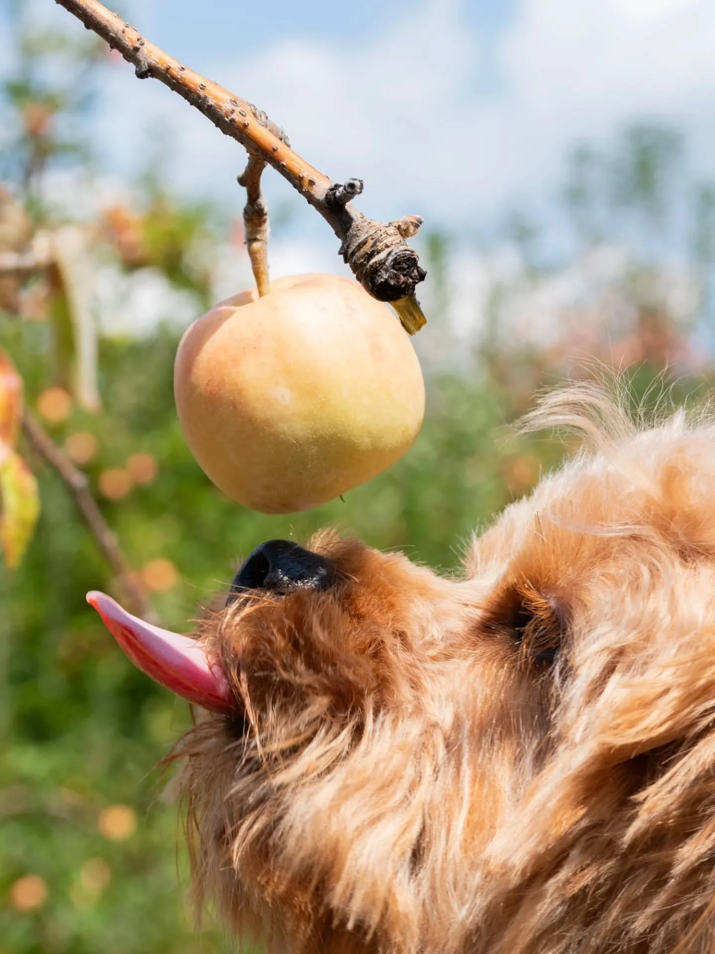 Felt autumnal, might delete later!
