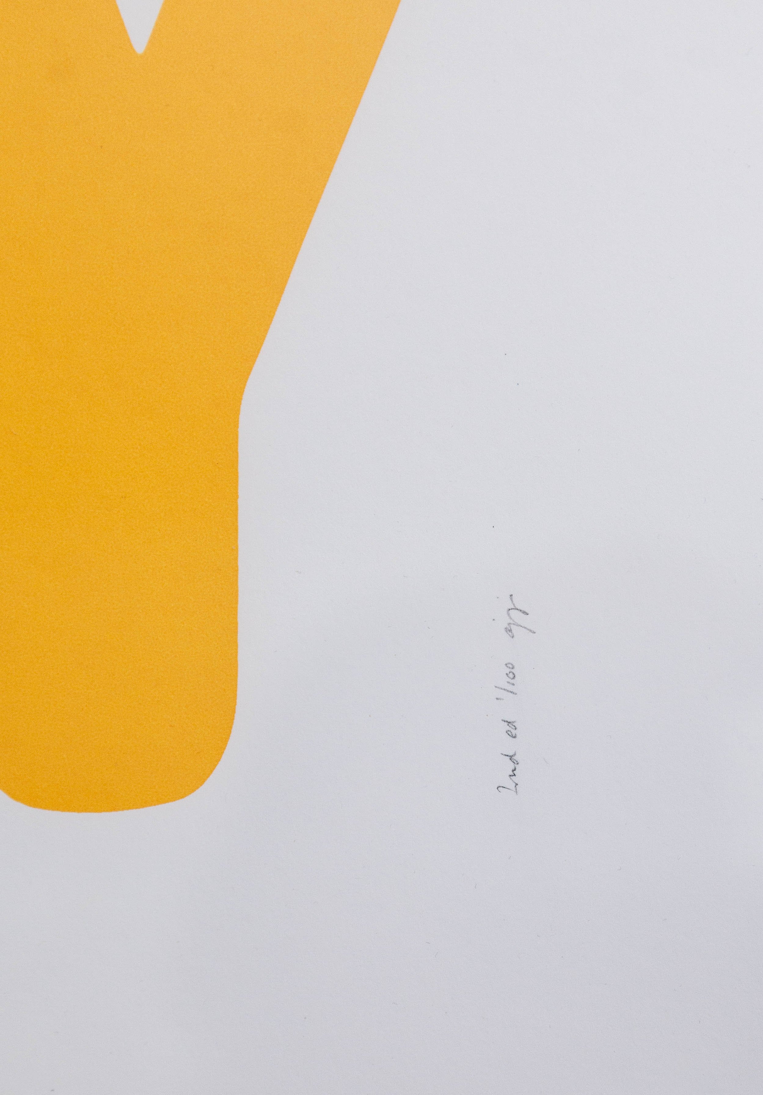 2026.HOMEBODY.YELLOW-8494.jpg