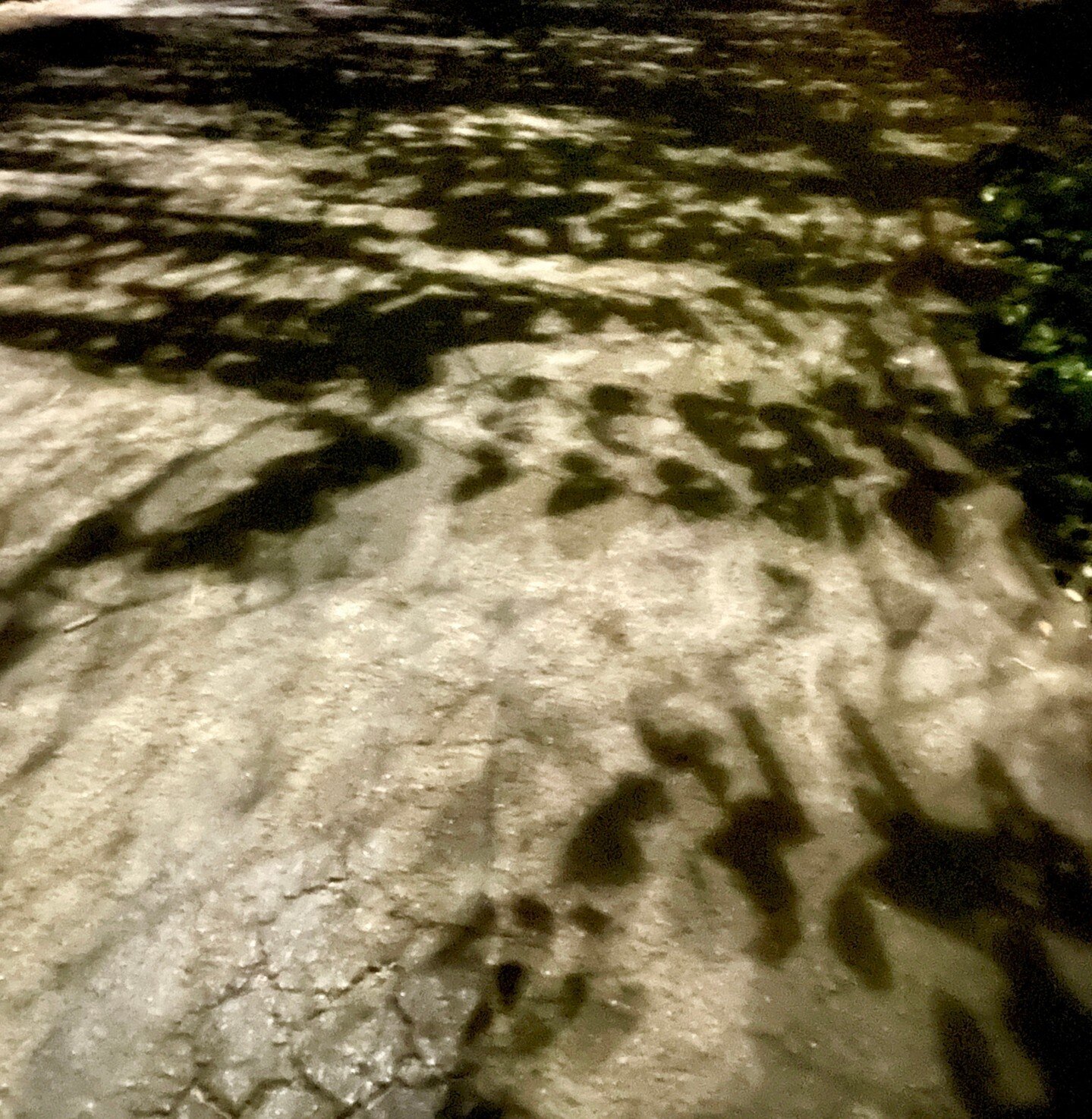 I saw these cool shadows on my walk the other day. The shape and movement of the shadows are affected by the angle and intensity of the light source, creating visually dynamic and intriguing patterns. So cool!

#the100dayproject #a2lcvp2024 #MixedMed