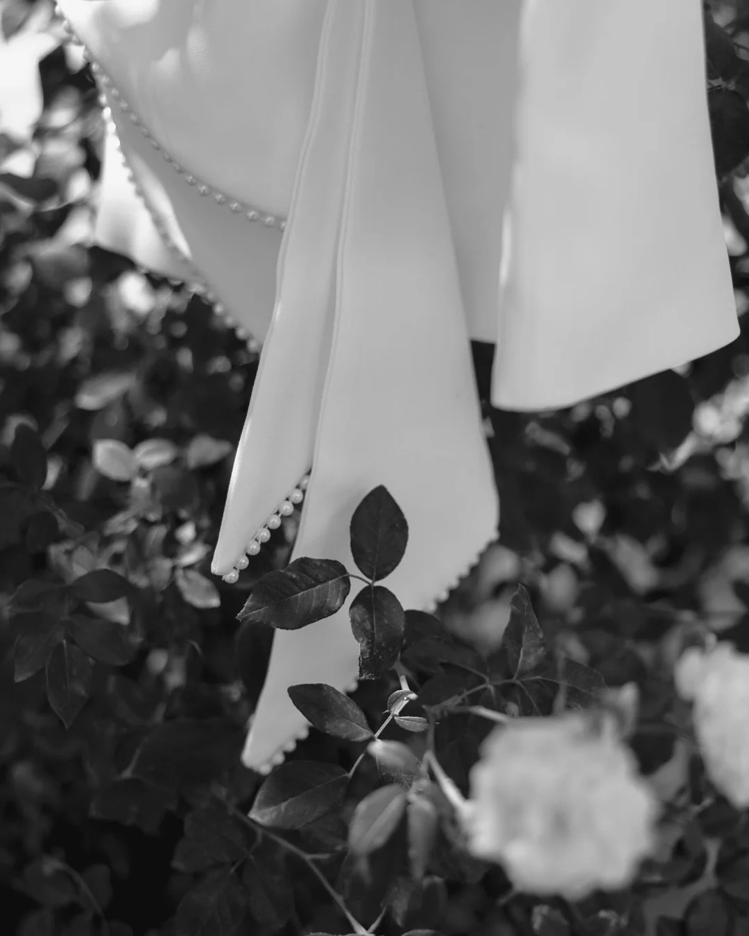 Artful getting ready 🕊️

#gettingreadydetails #bridesdetails #2027bride #serendipitygardens #weddingphotographyinspo