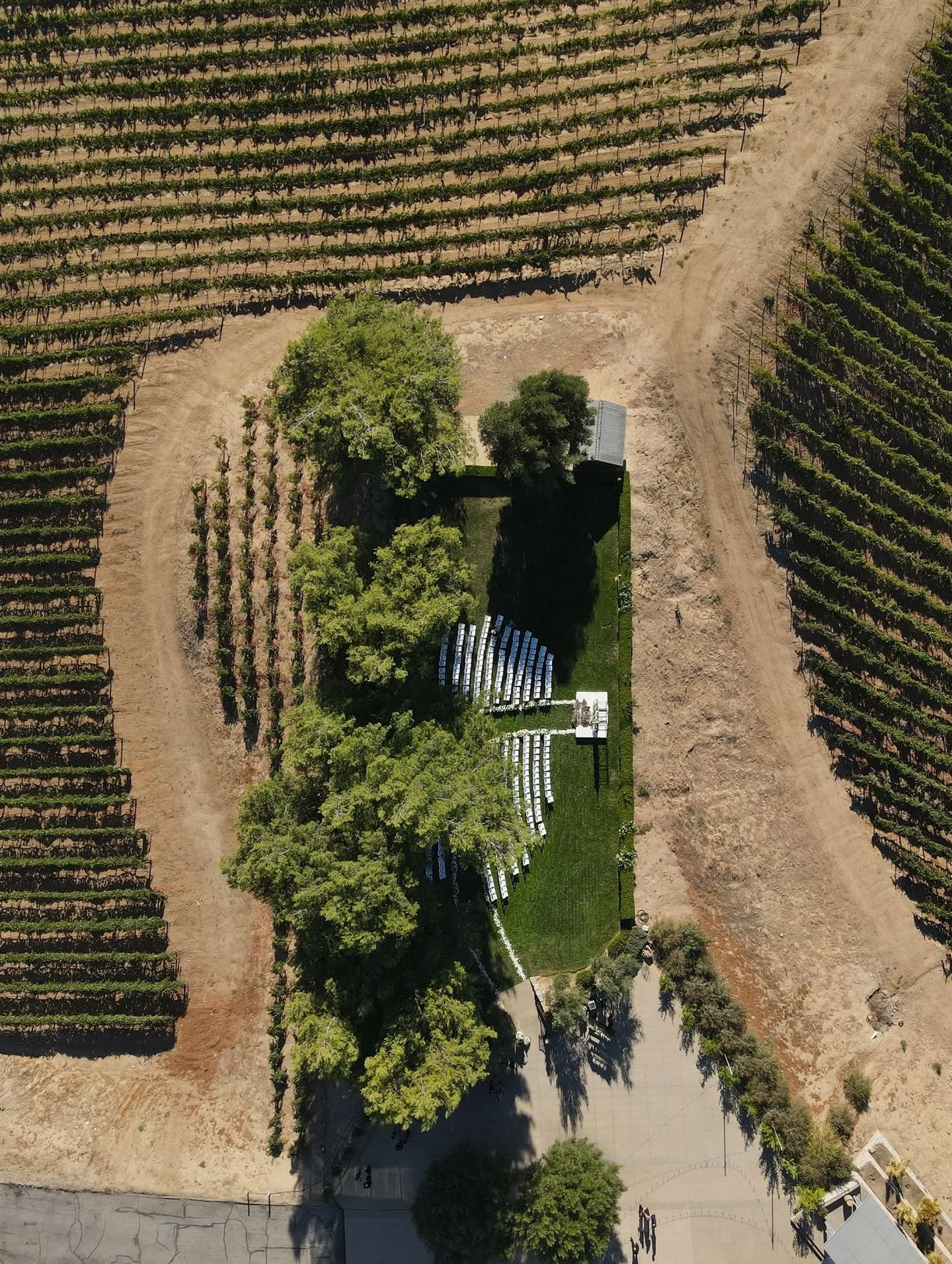 Vino &amp; Vows at Callaway Winery &mdash;

@callawaywineryweddings 
@darianshantayphoto 
@teamweddingsbydarianshantay 
@bellisimoevents 
@foxyfacesglamteam 

#temeculaweddings #temeculaweddingphotographer #temeculaweddingvenue #winecountrywedding #t
