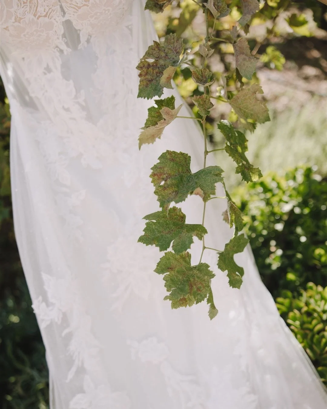 B+D &mdash; perfection of a wedding day 🌿

Wedding dress, wedding details, wedding day, wedding photography, bride and groom