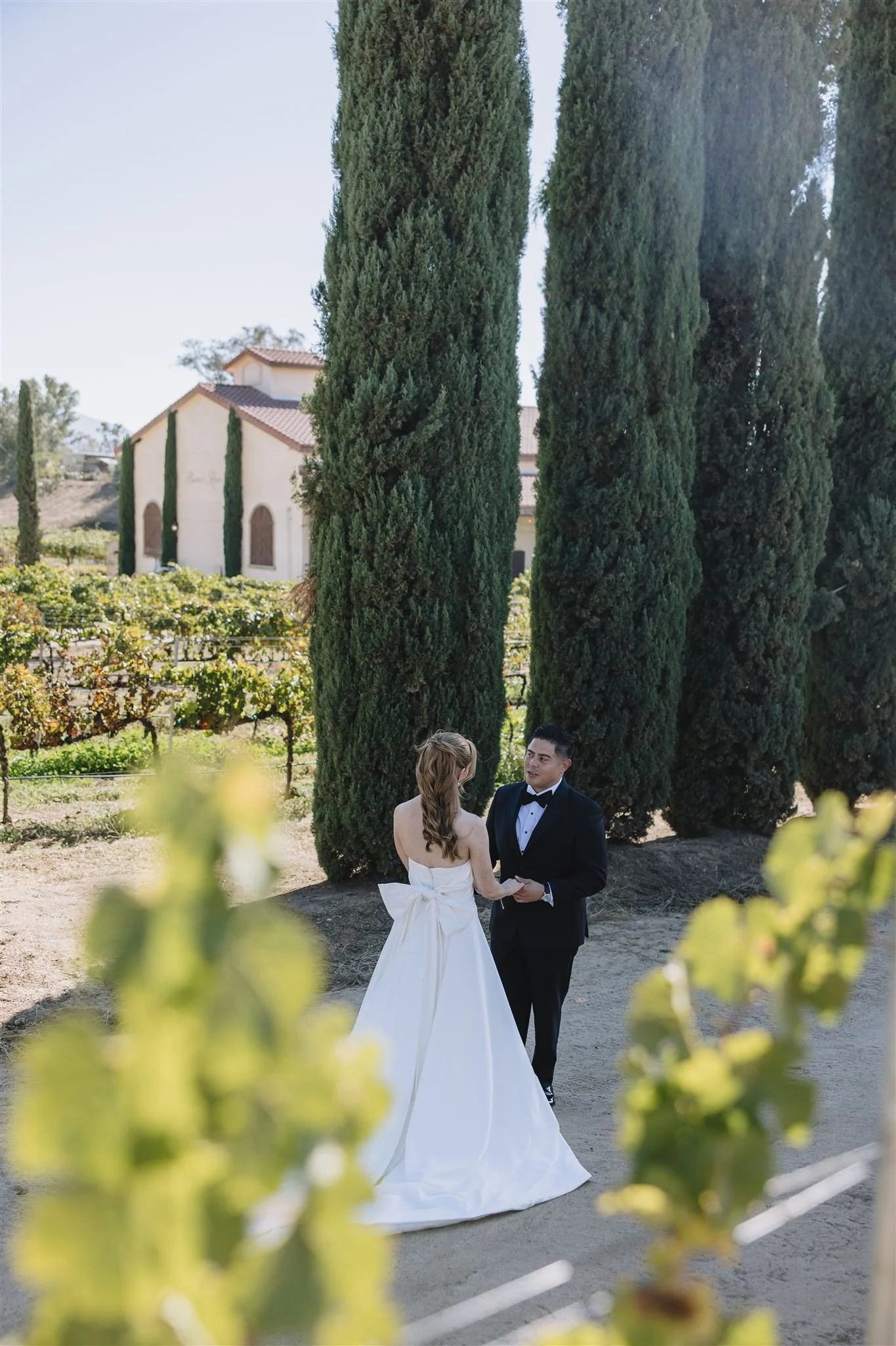 darianshantayphoto_jenna_joshua_danzadelsolwinery_wedding-14_websize.jpg