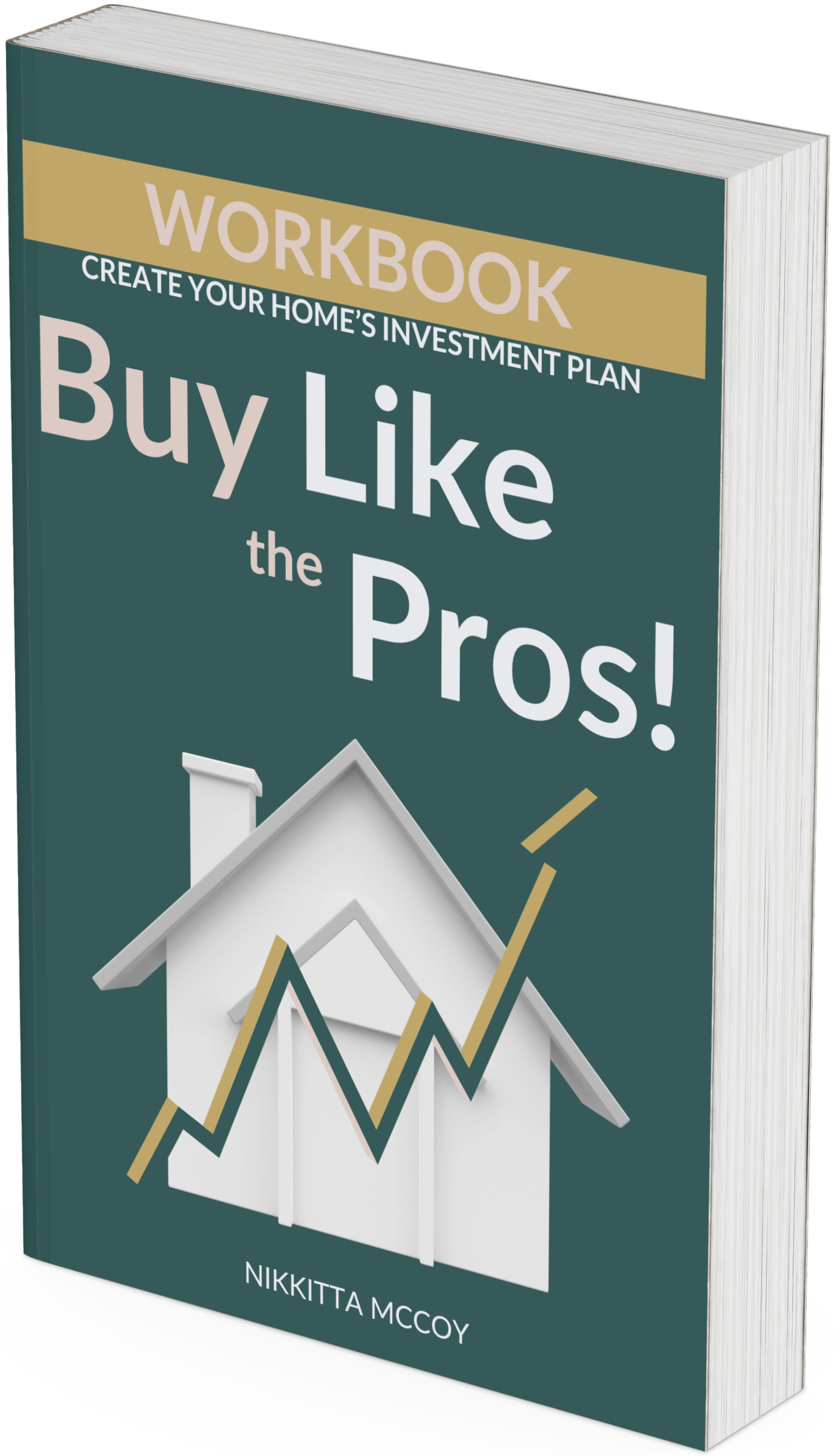 BLP - Workbook Cover - Mockup.png