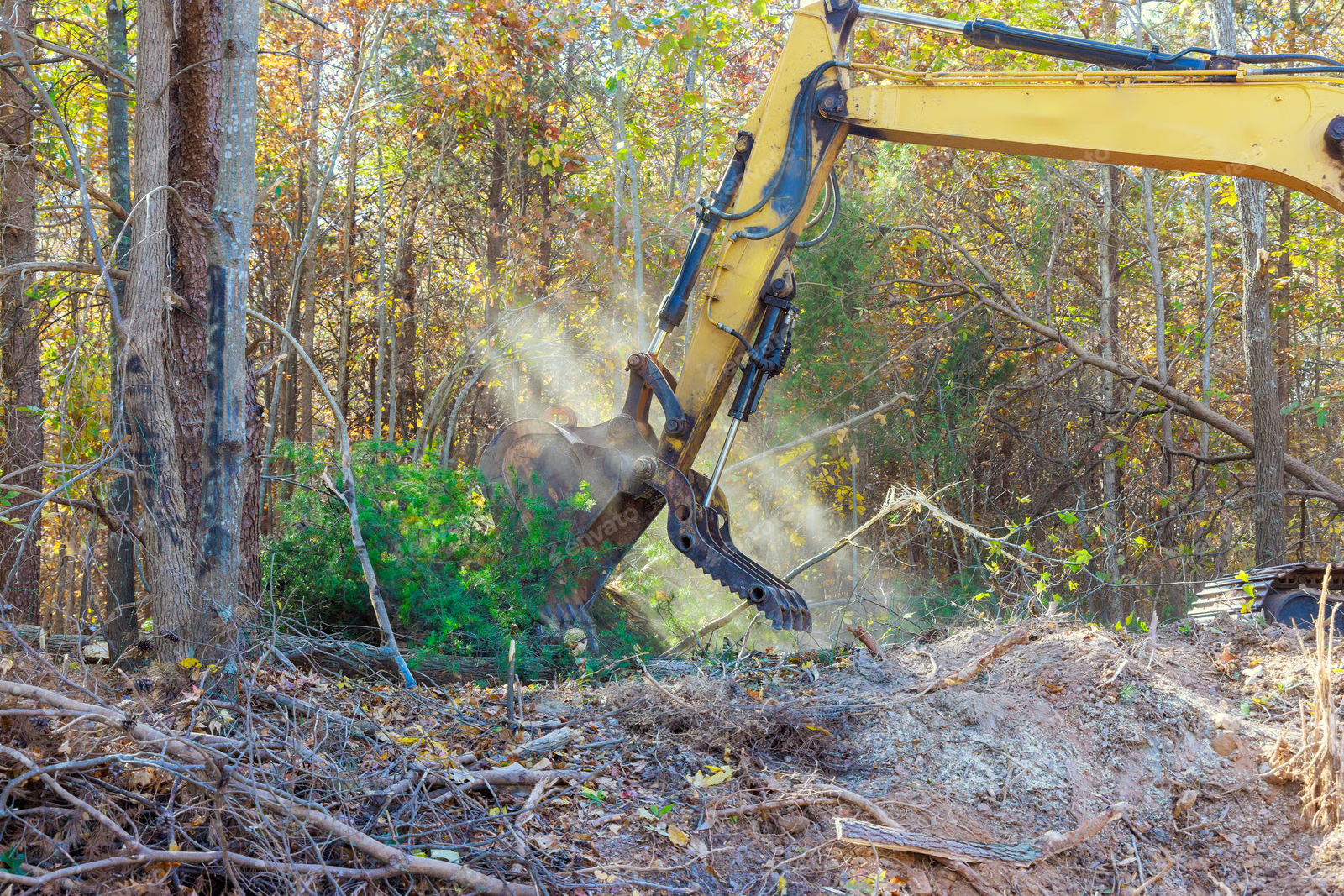 Brush Clearing in Oklahoma: What Rural Landowners Should Know
