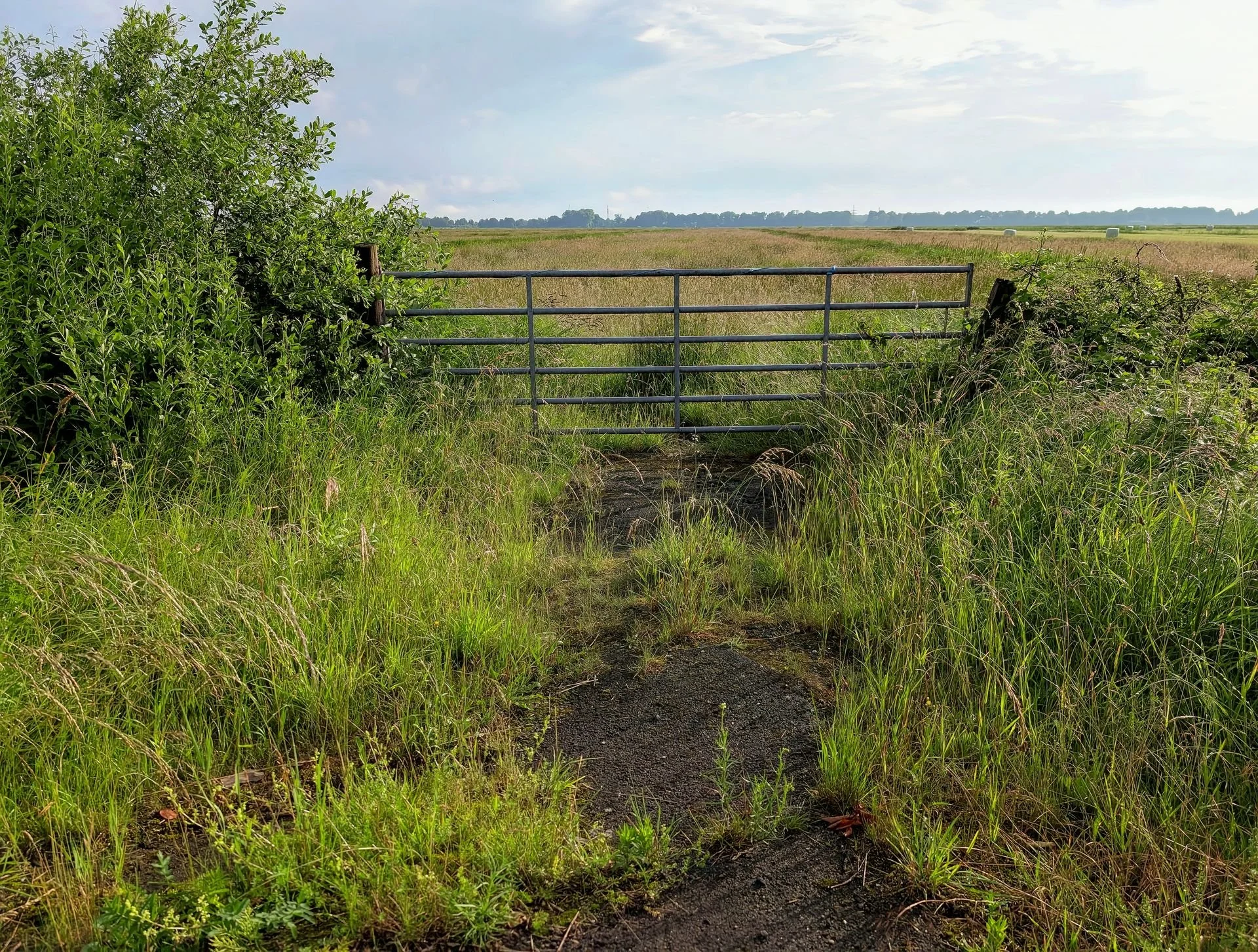 Why Oklahoma Landowners Should Reopen Access to Land Before Clearing the Whole Property