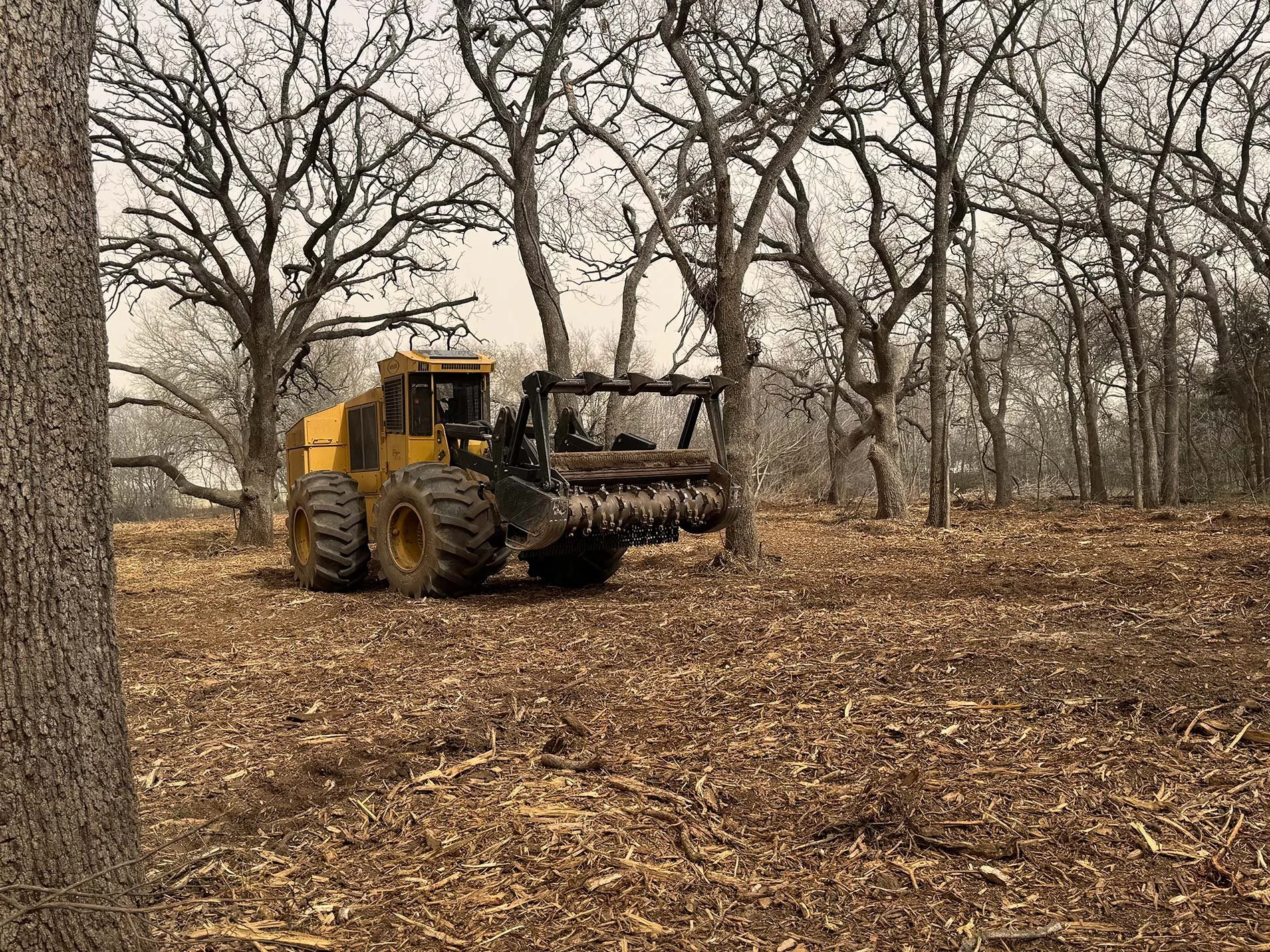Forestry Mulching Services | 5K Land Management | Texas & Oklahoma ...