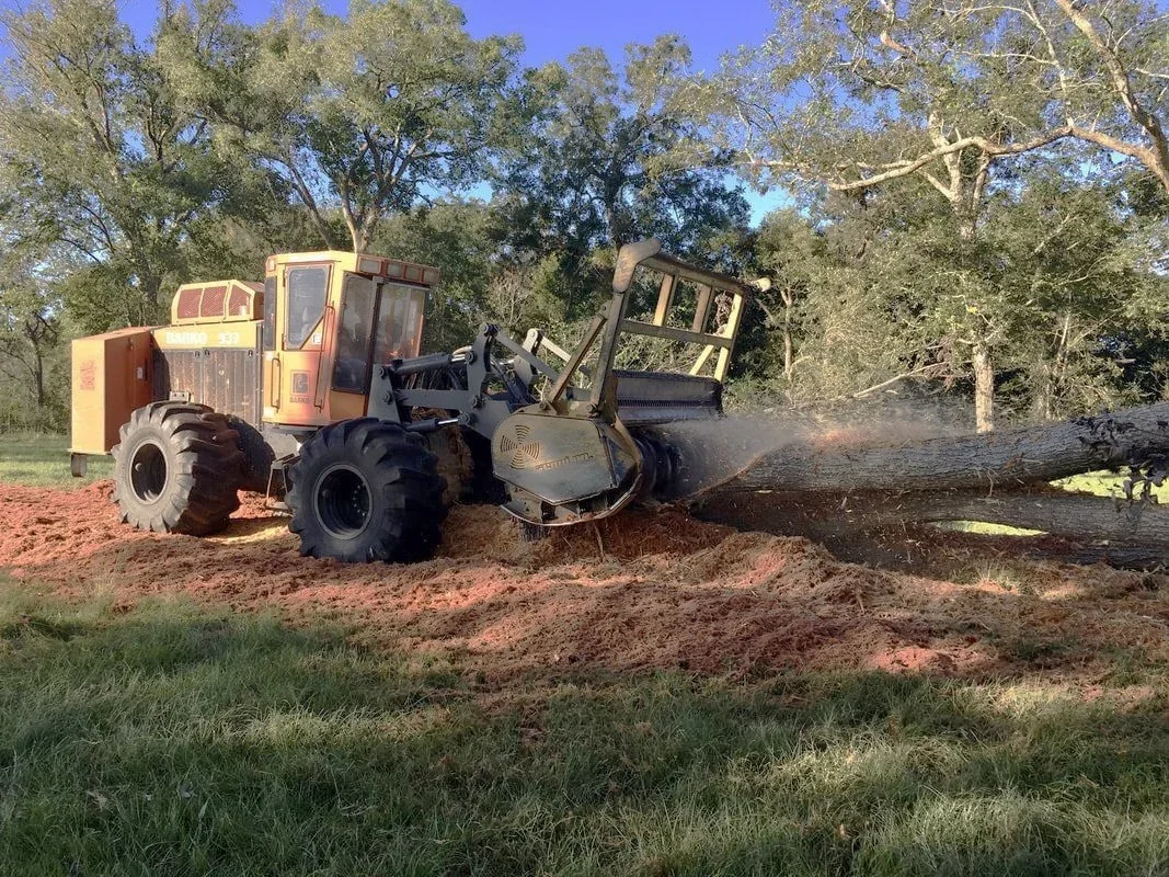 Tree mulching project