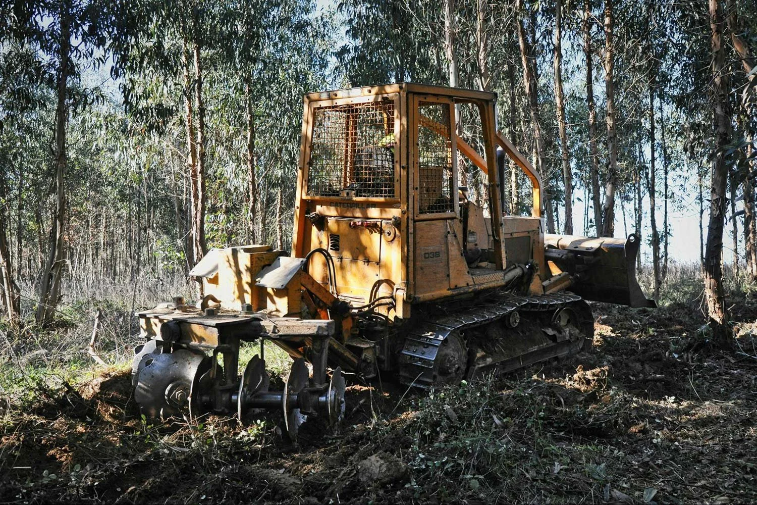 Bulldozer equipped with a clearing attachment for eradicating dense vegetation