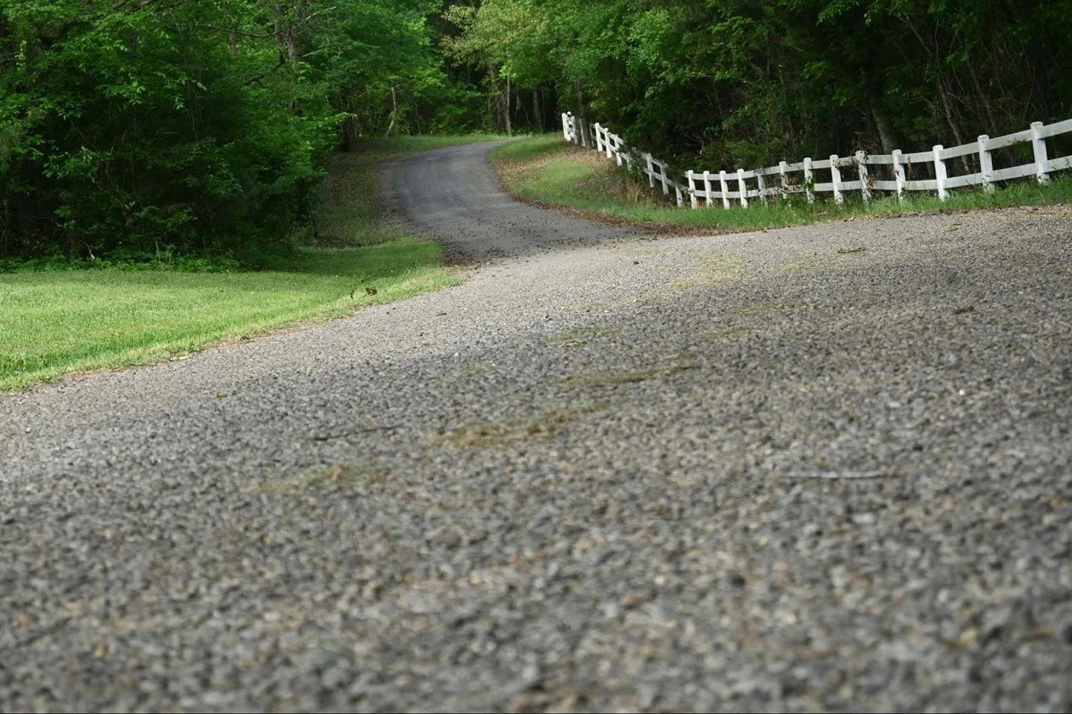 Curved rural driveway bordered by a white fence.