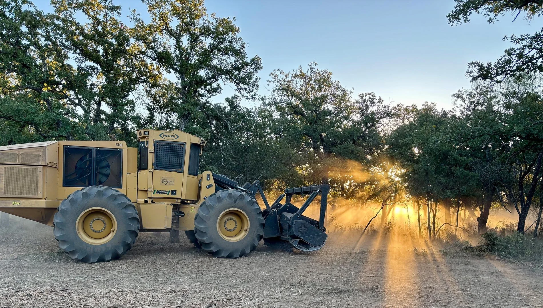 Yellow land clearing machinery with the sun setting behind the trees