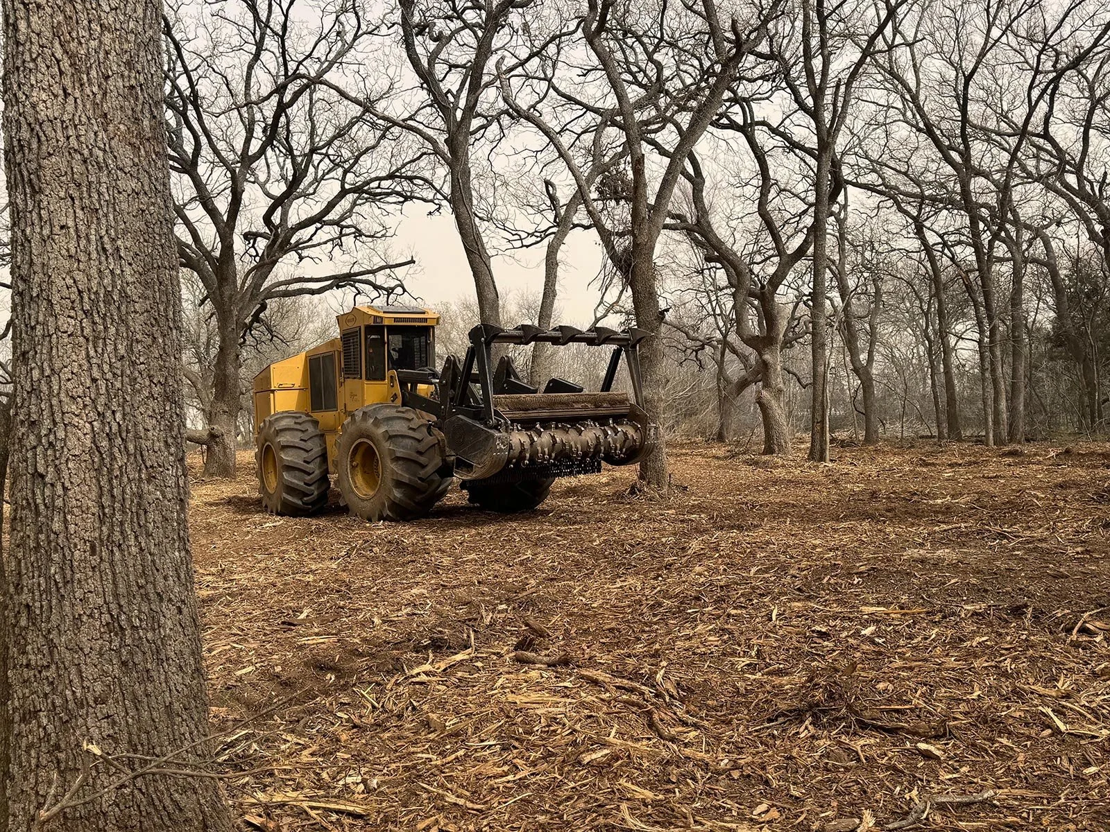 Yellow land clearing equipment among trees