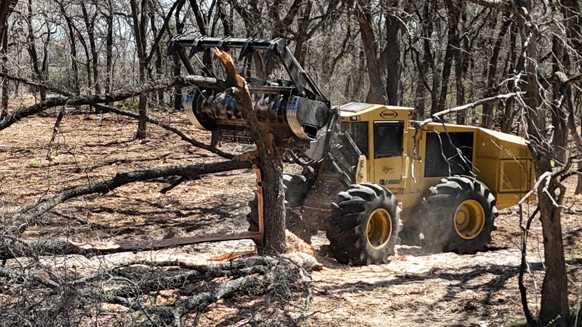 Yellow land-clearing machinery grinding tree trunks