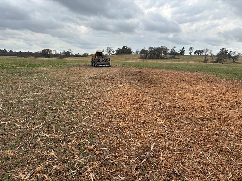 An even layer of mulch in a cleared area with machinery in the background