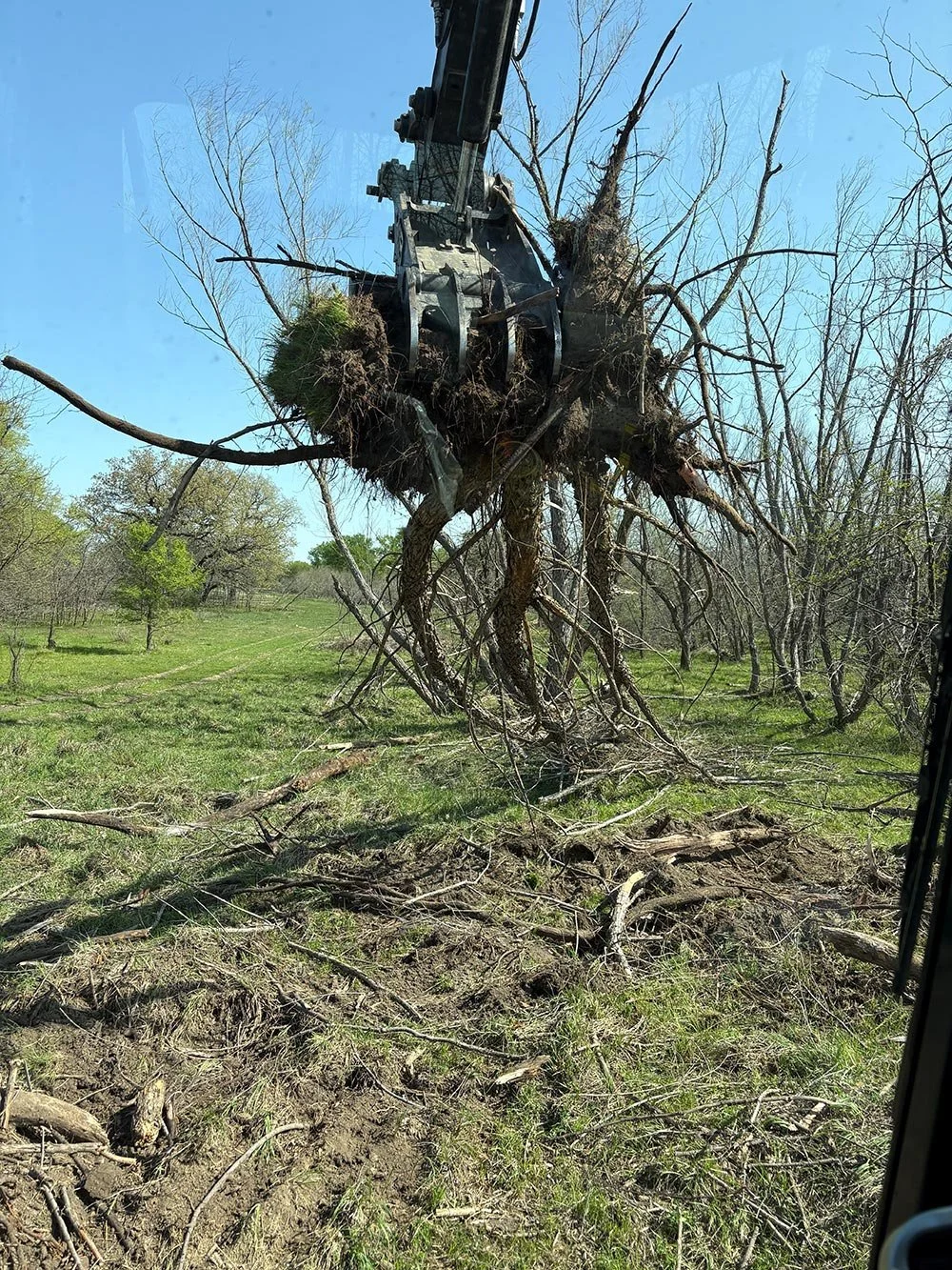 A view of the grapple bucket holding large tree roots and soil from inside the cab of the machine