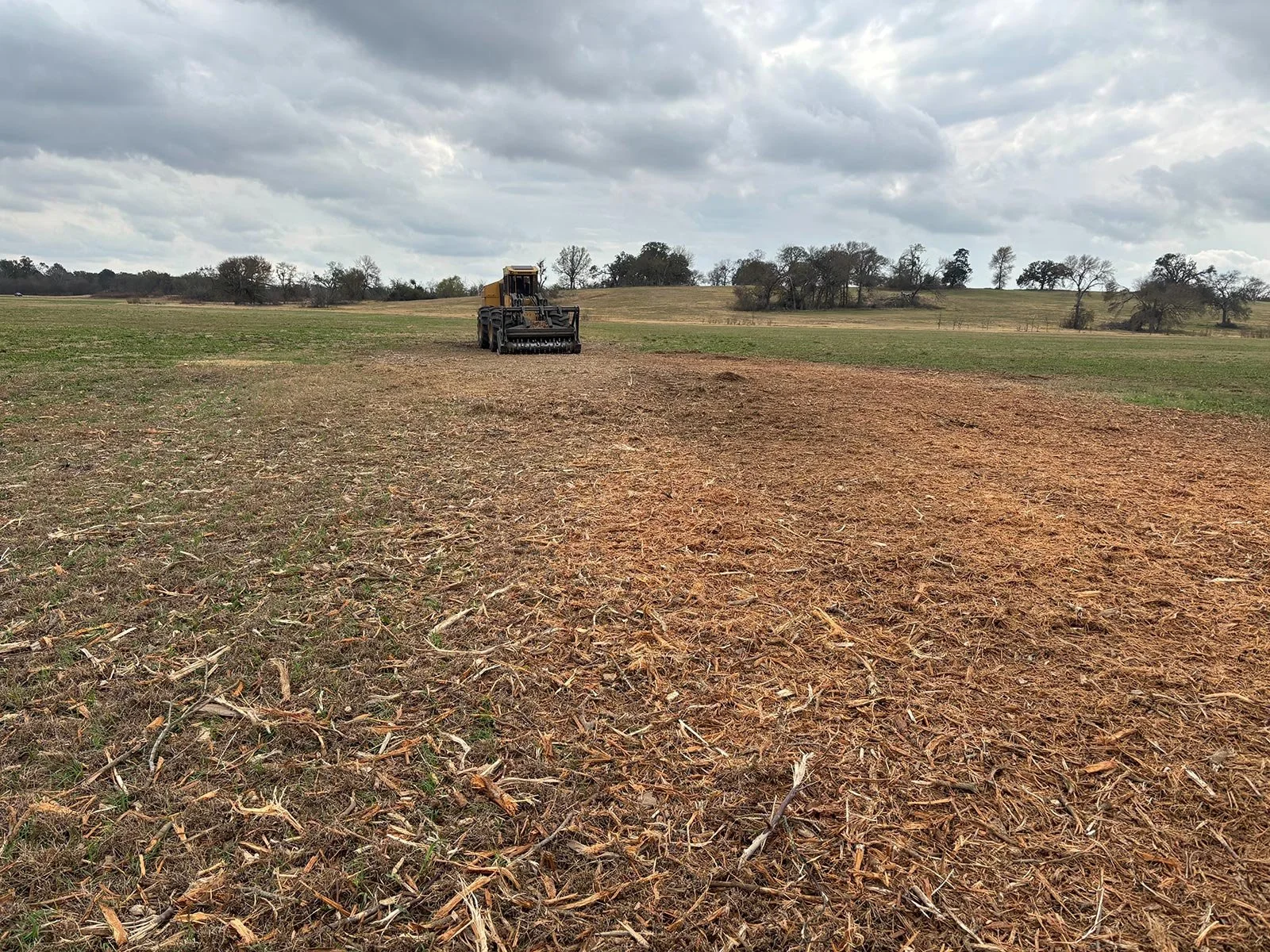 Heavy equipment in the background of a newly-mulched segment of land