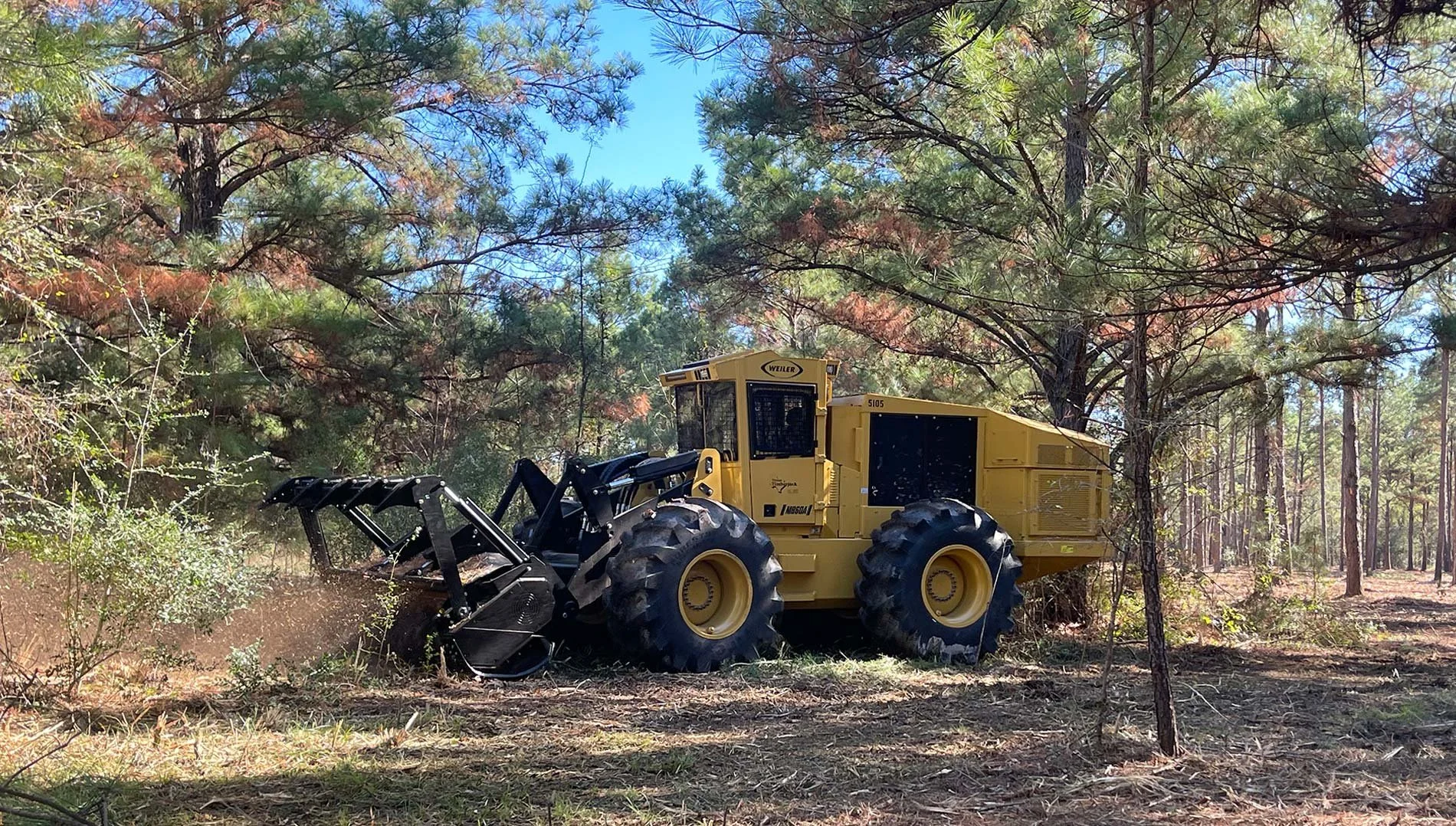 Forestry mulching underway in a wooded area