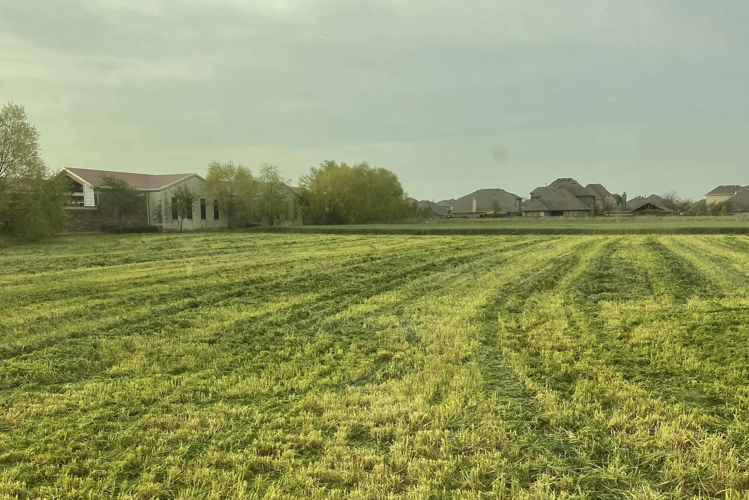 Gallery Banner Image