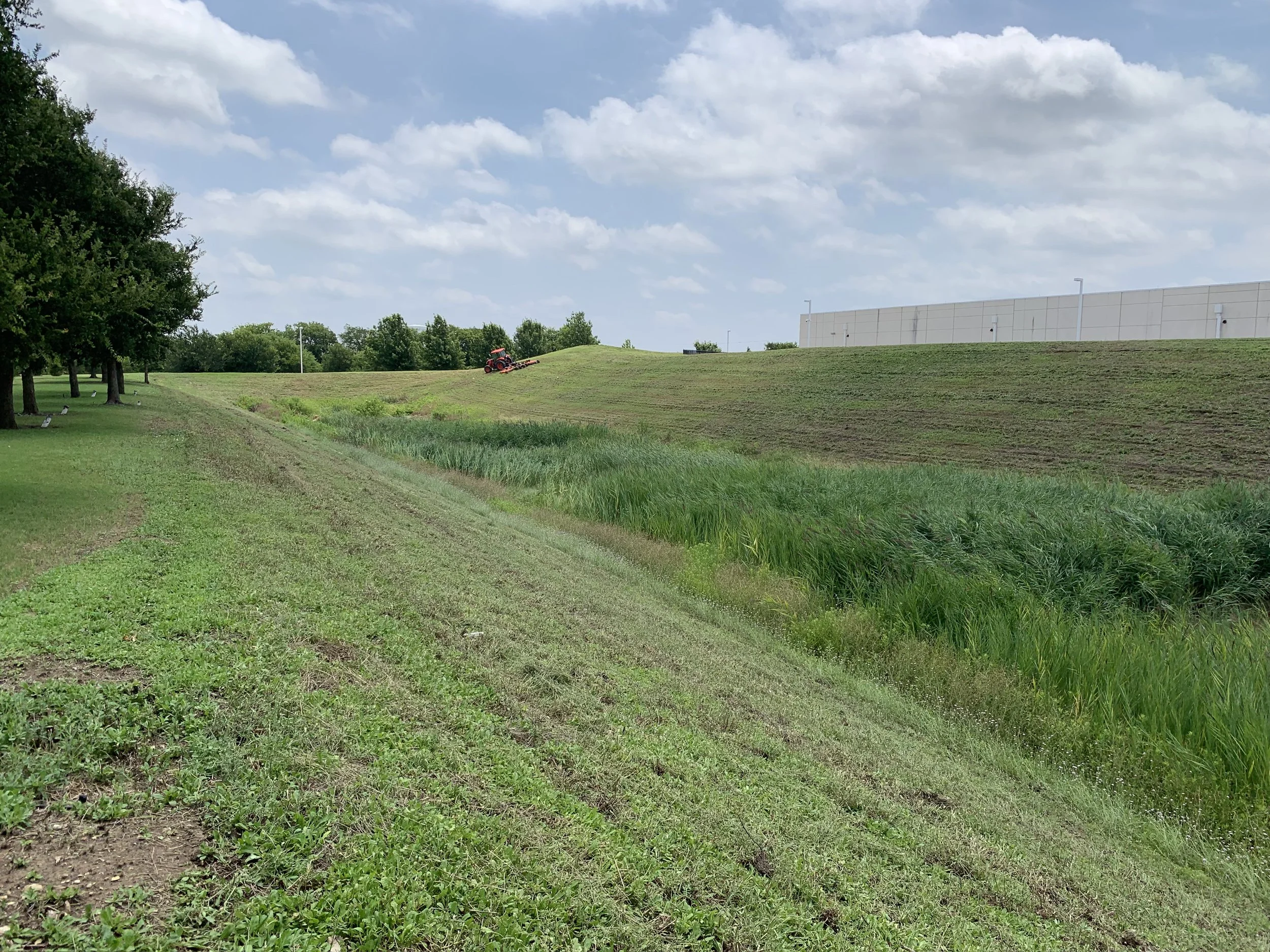 Green field with tall and short grass