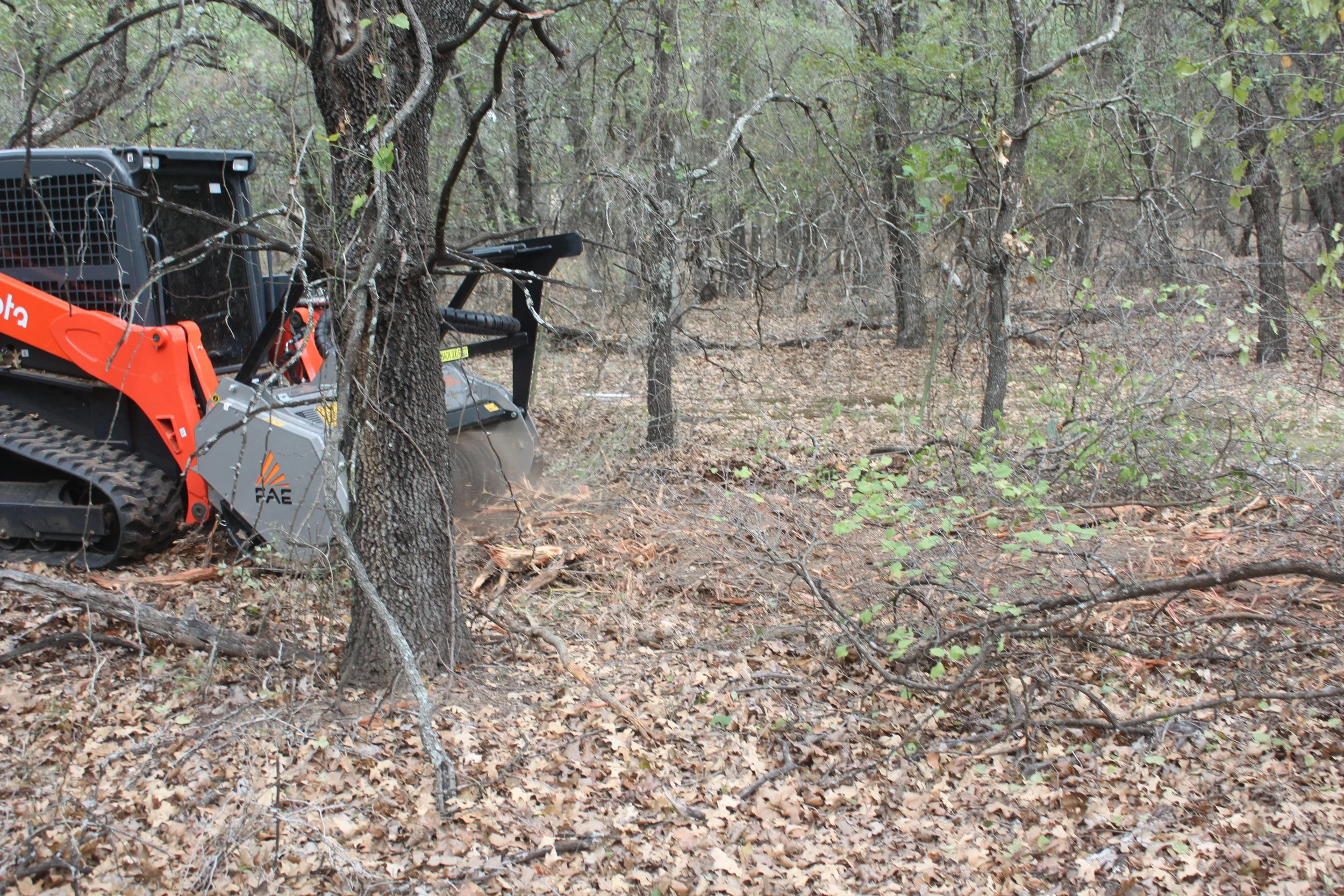 Skid-steer mowing around trees