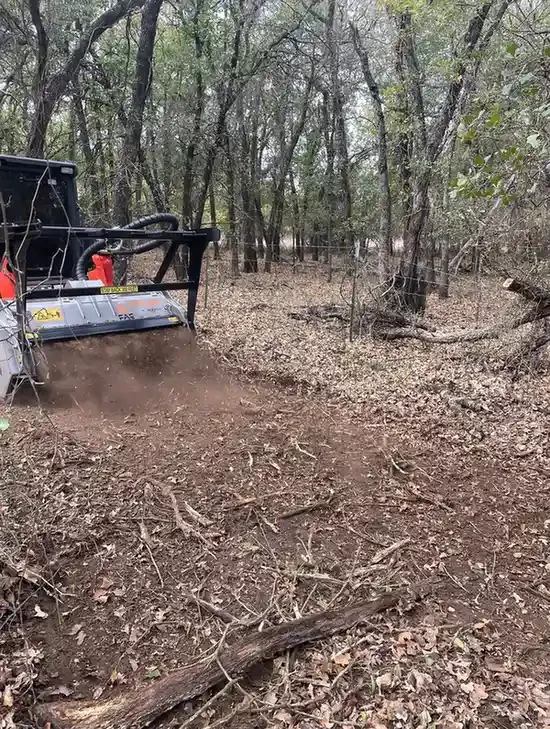 Skid-steer mowing around trees
