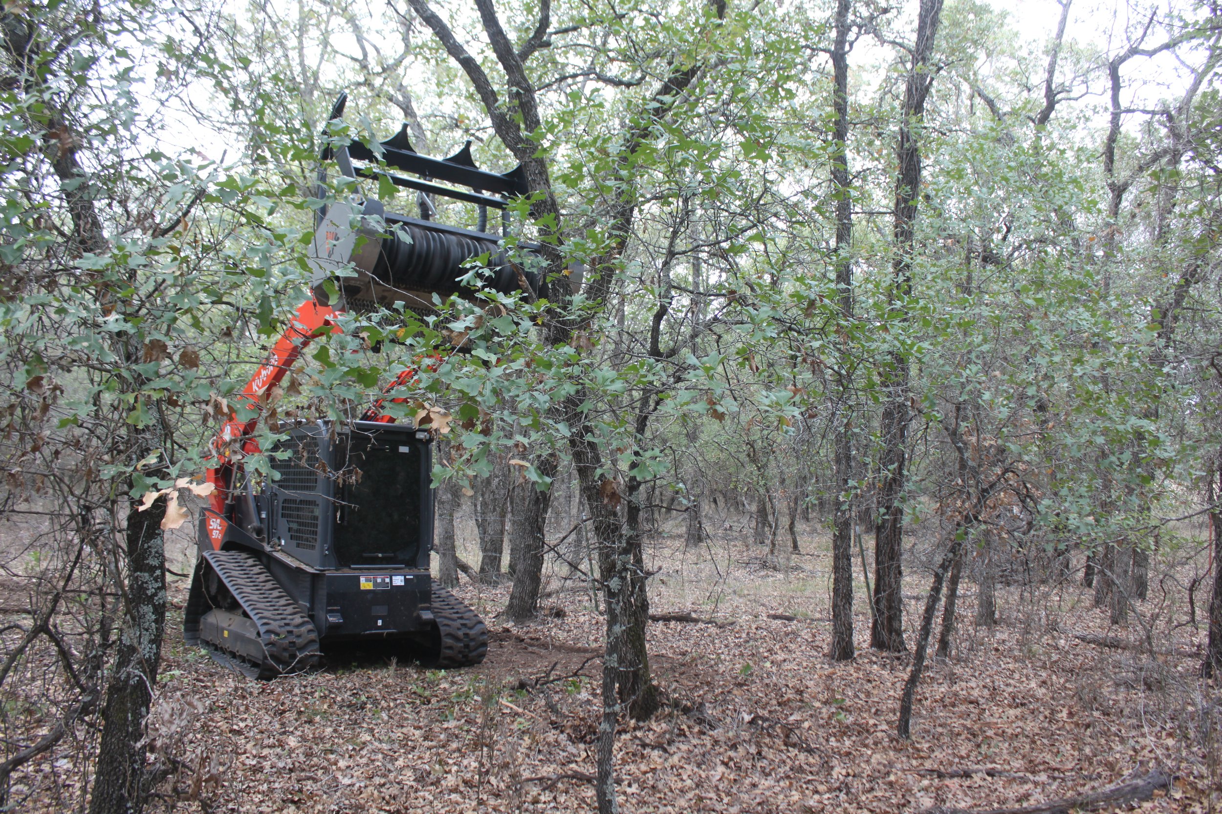 Brush cutter cutting branches