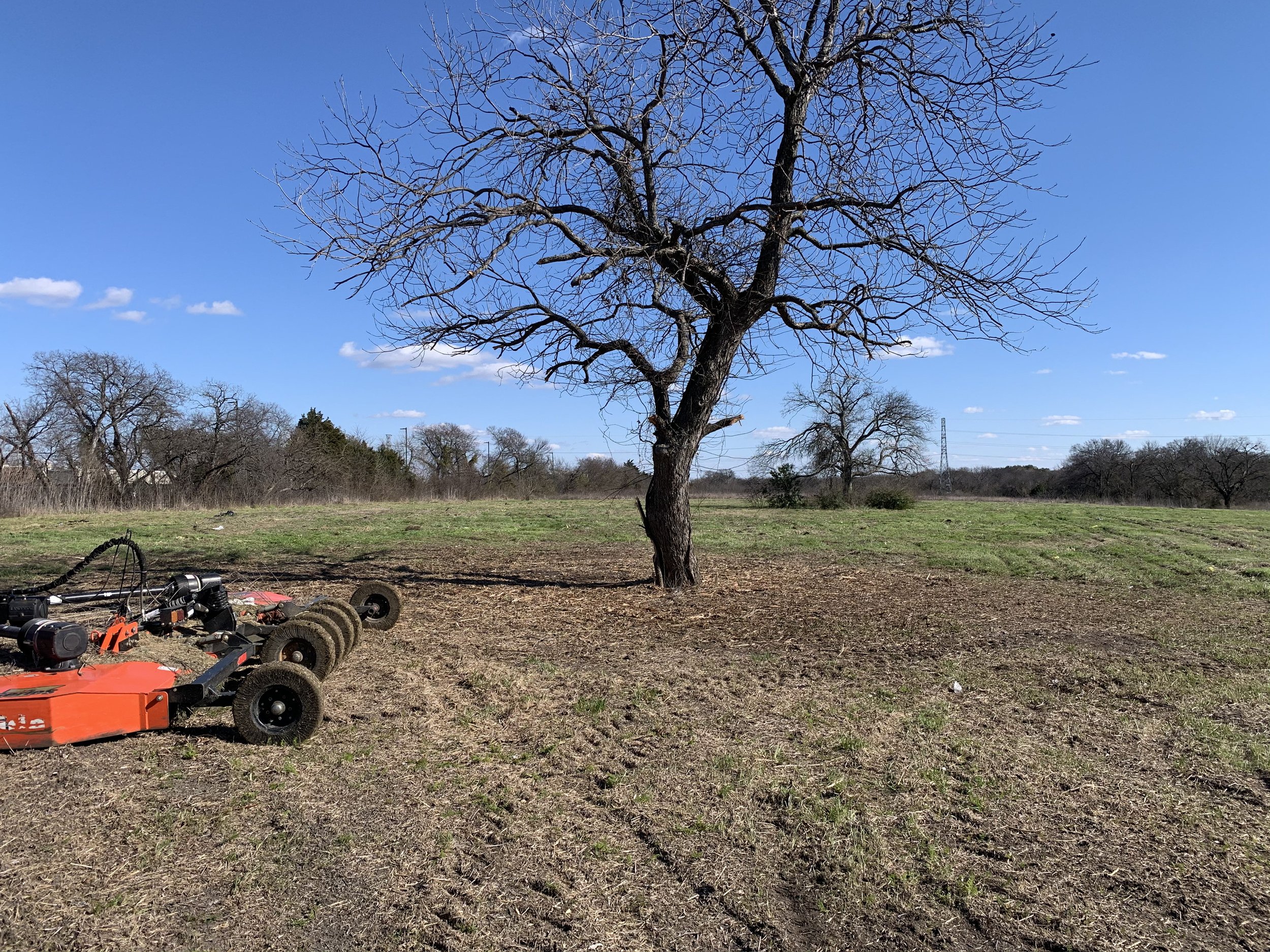Tractor mowing around tree