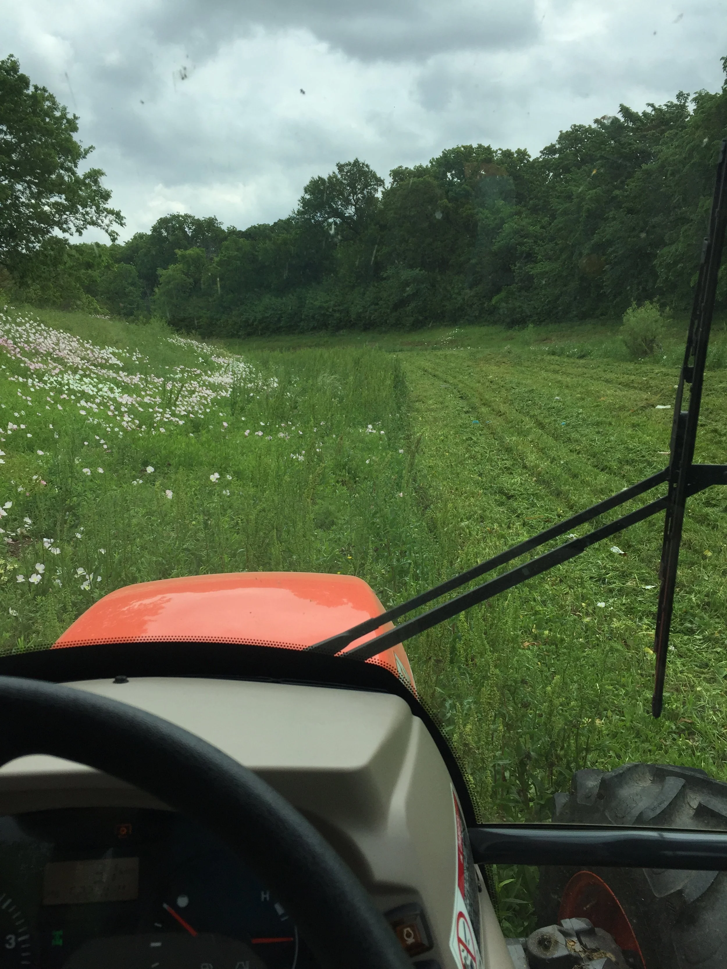 Tractor mowing through green field 