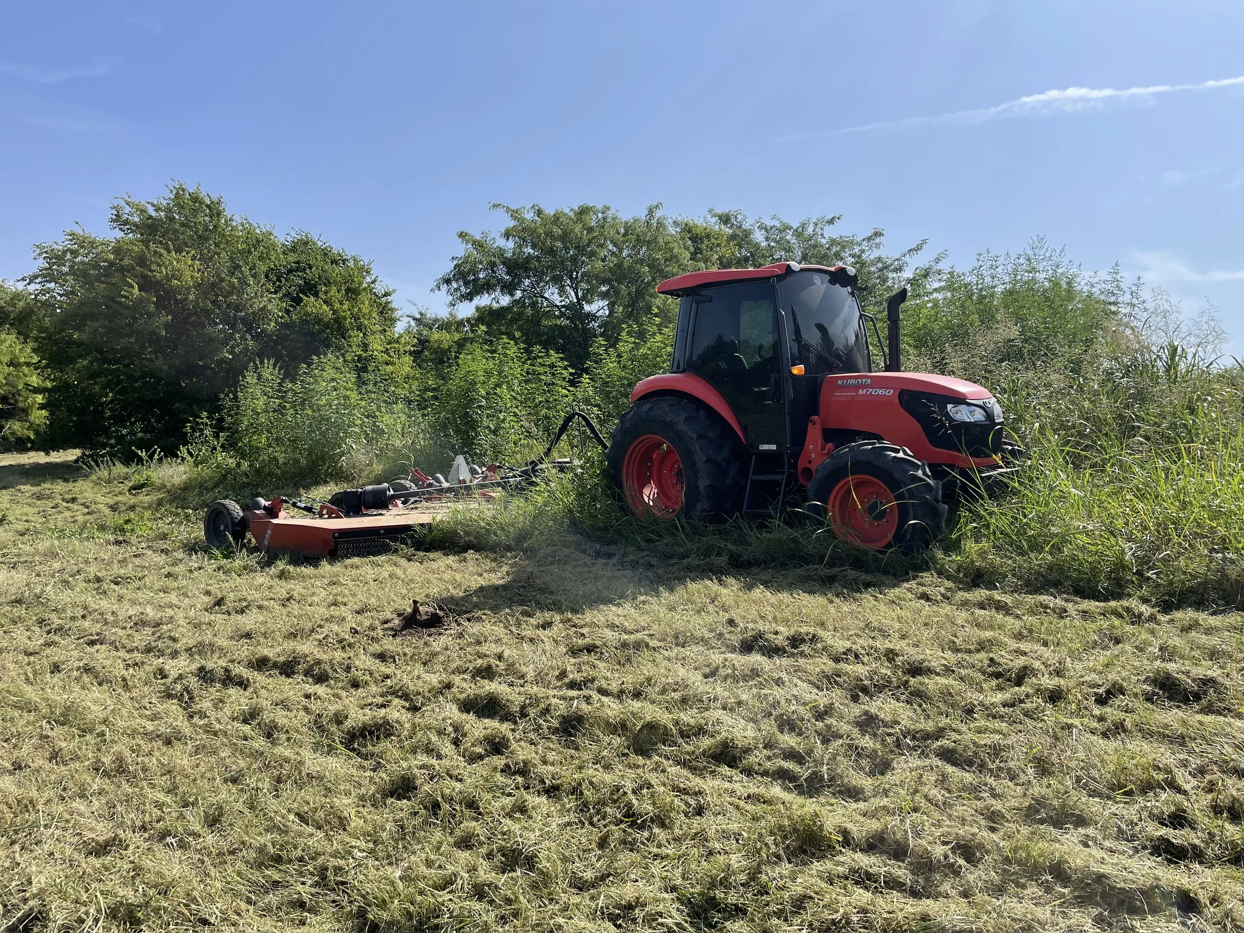 Red tractor mowing tall grass