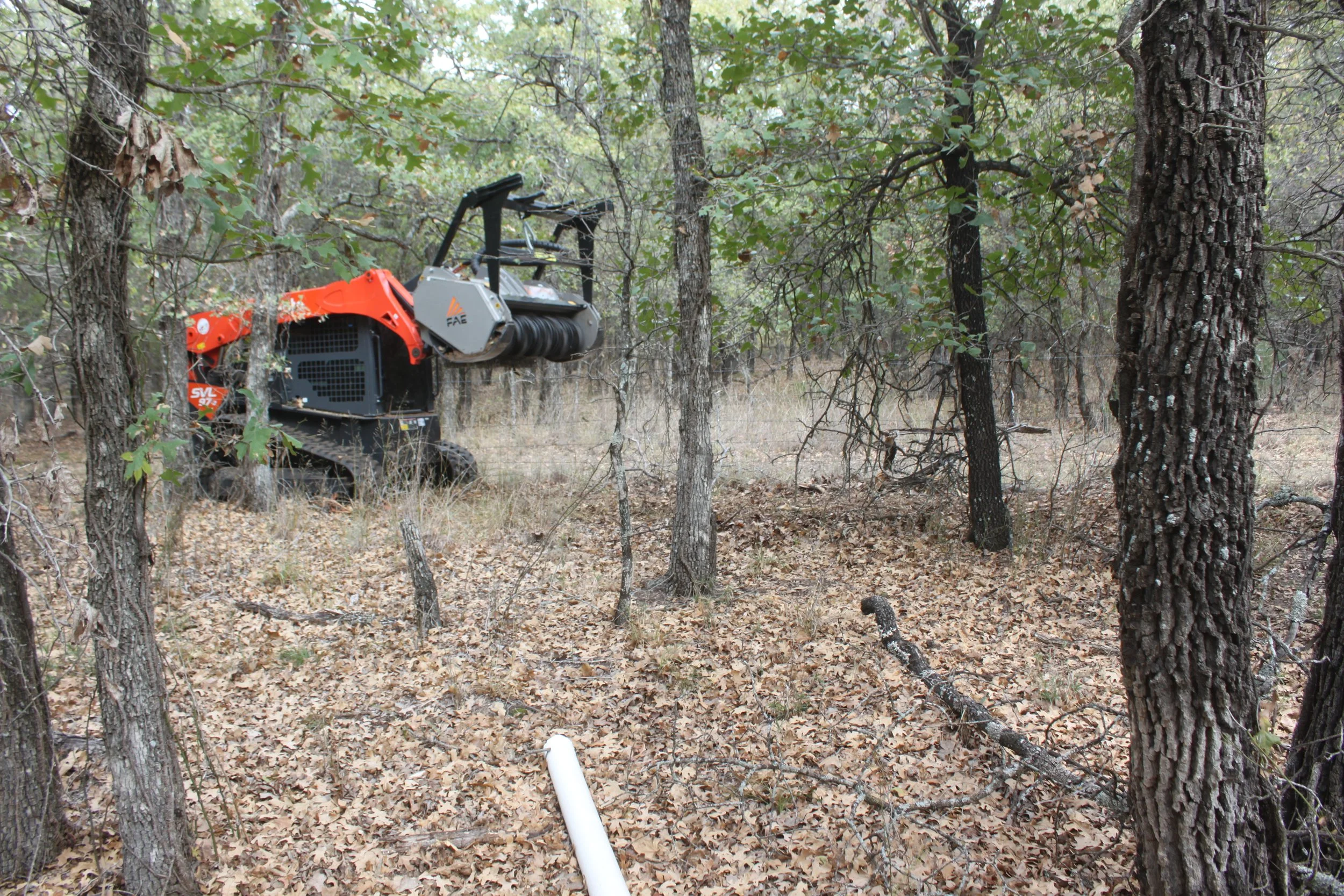 Skid-steer mowing around trees