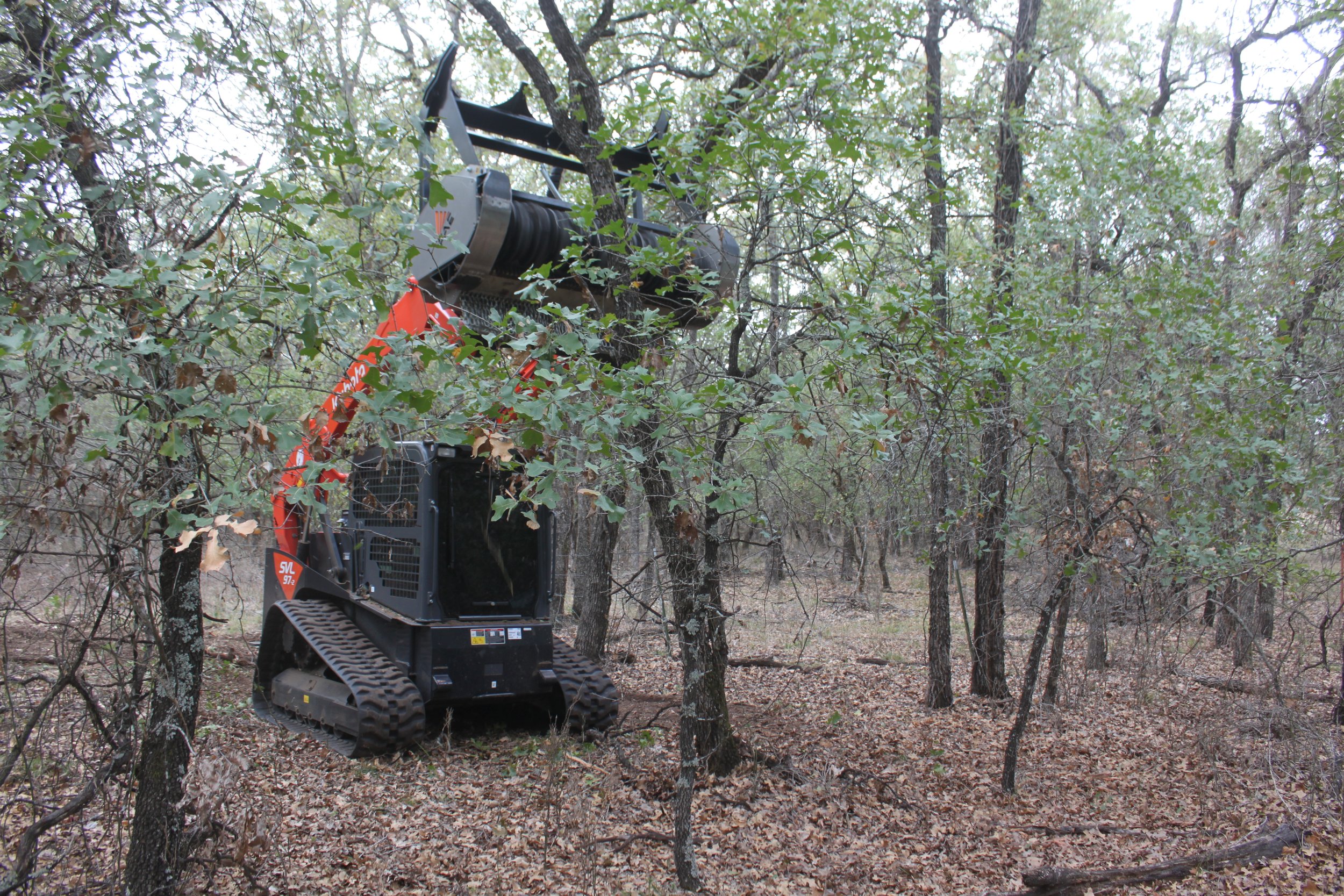 Brush cutter cutting branches