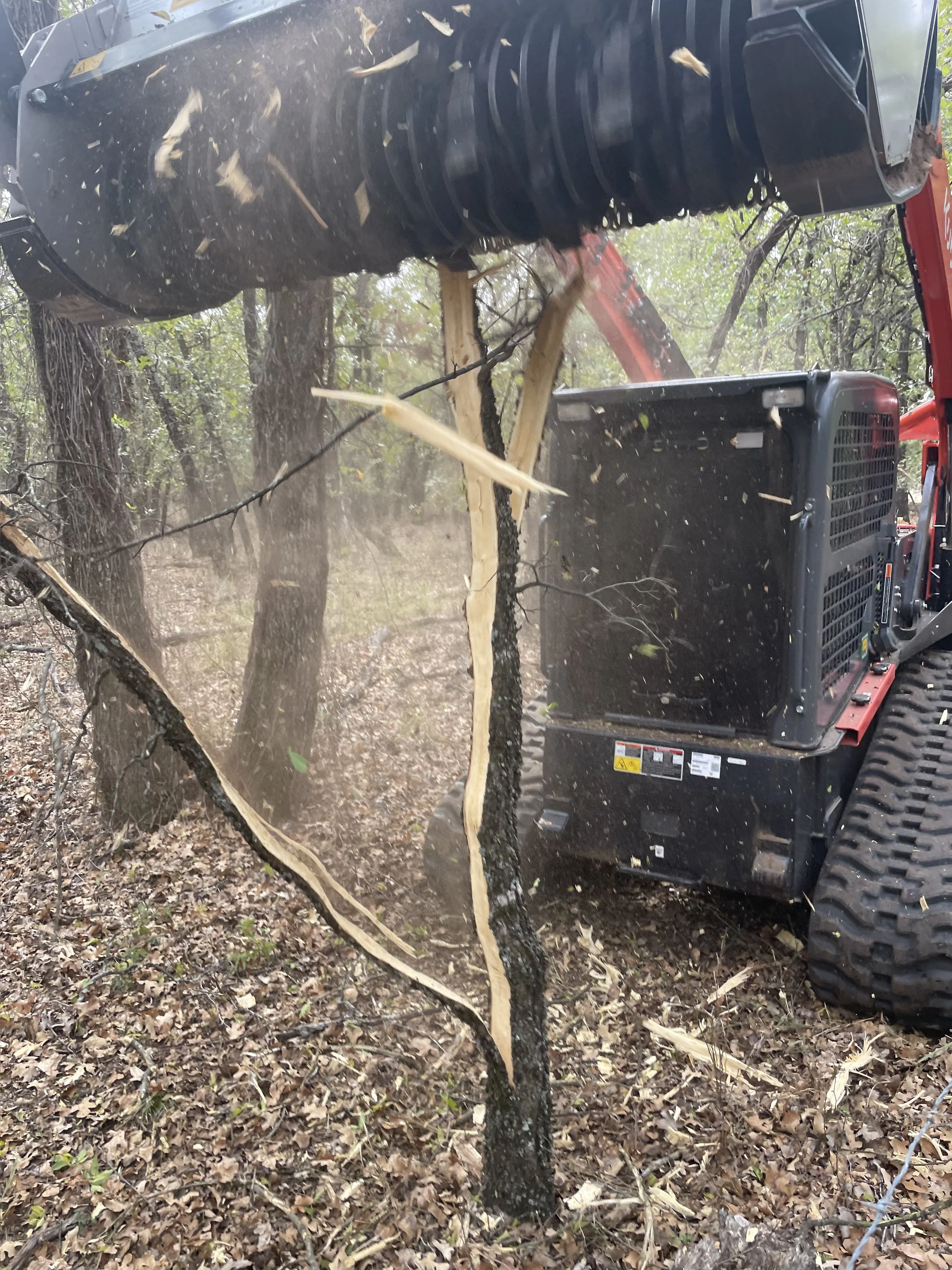 Skid-steer milling down tree