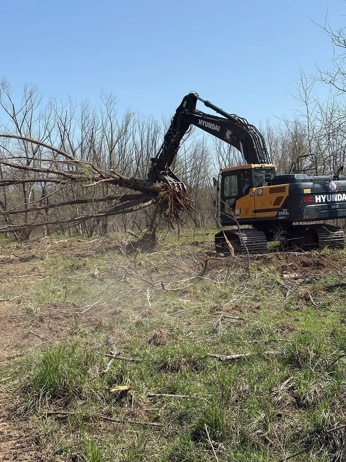 Excavator removing heavy tree trunks and debris from rural land