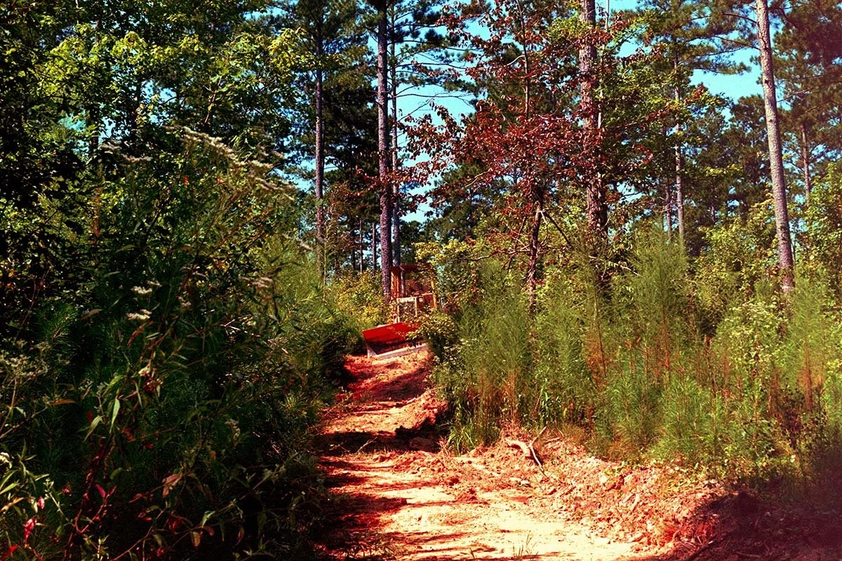 Hunting Land Management: Clearing Land Without Ruining the Habitat