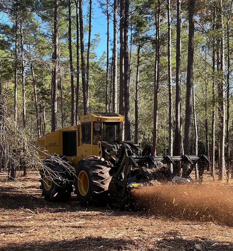 Active forestry mulching equipment in a wooded area