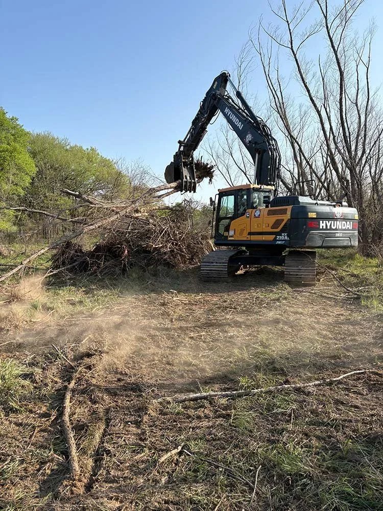 A large Hyundai excavator removes mature trees from a wooded area