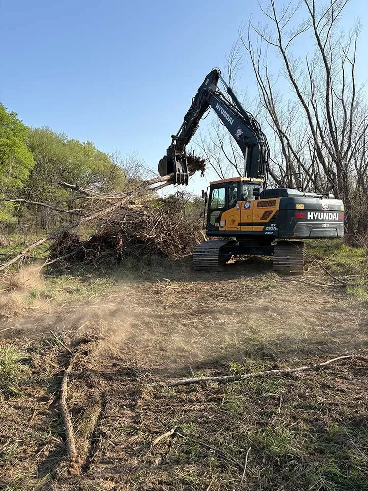 A large Hyundai excavator removes mature trees from a wooded area
