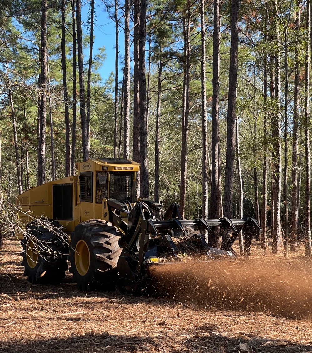 Active forestry mulching equipment in a wooded area