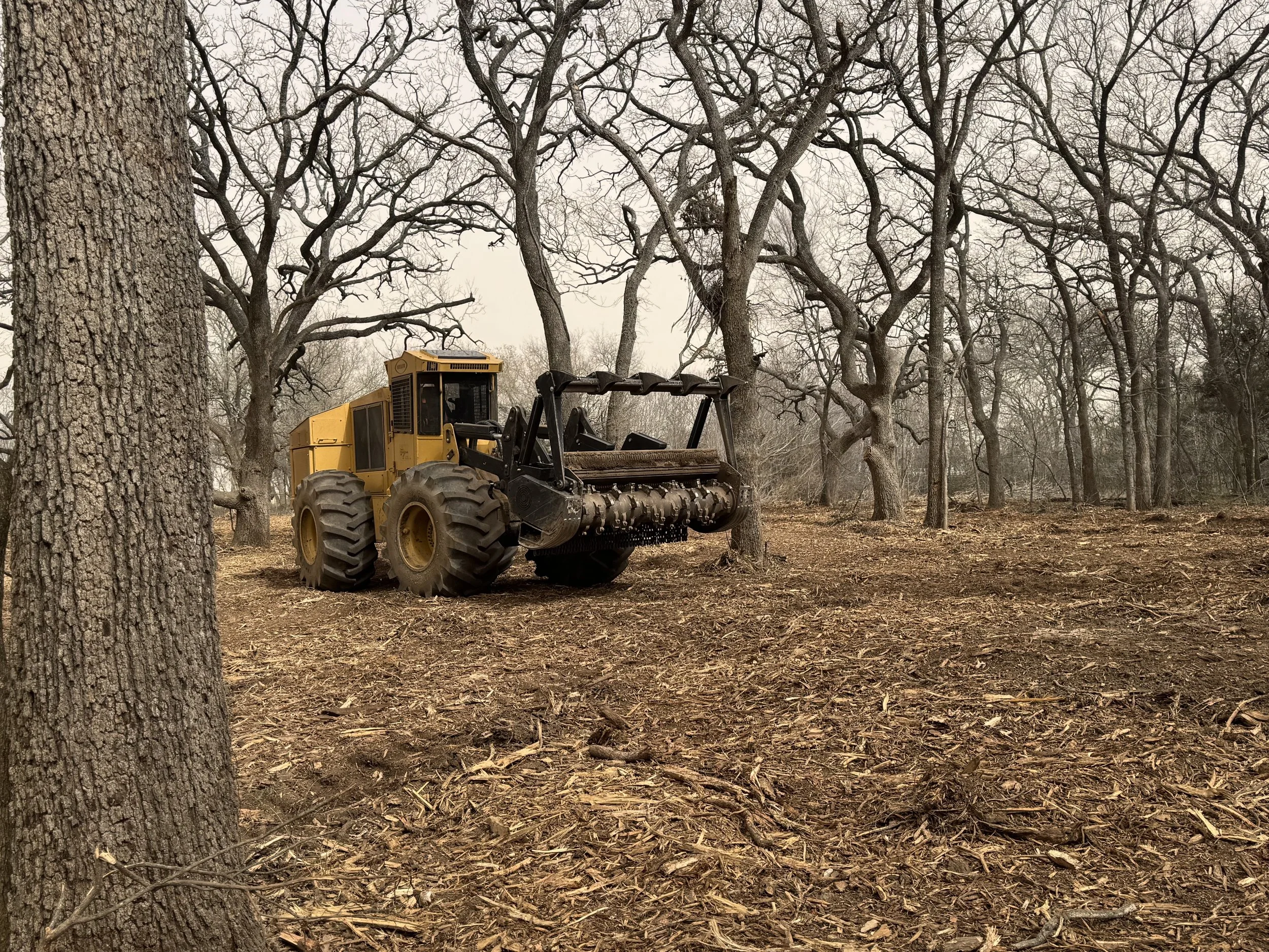 Land clearing equipment in a forested area in winter